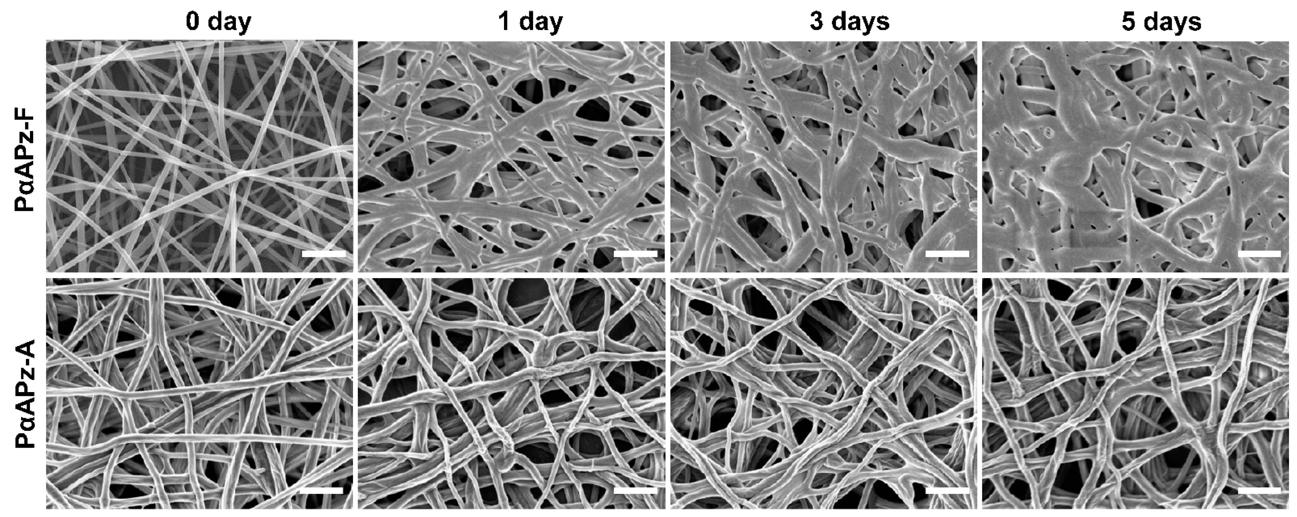 Polymers 14 01555 g003 Polymers 14 01555 g003