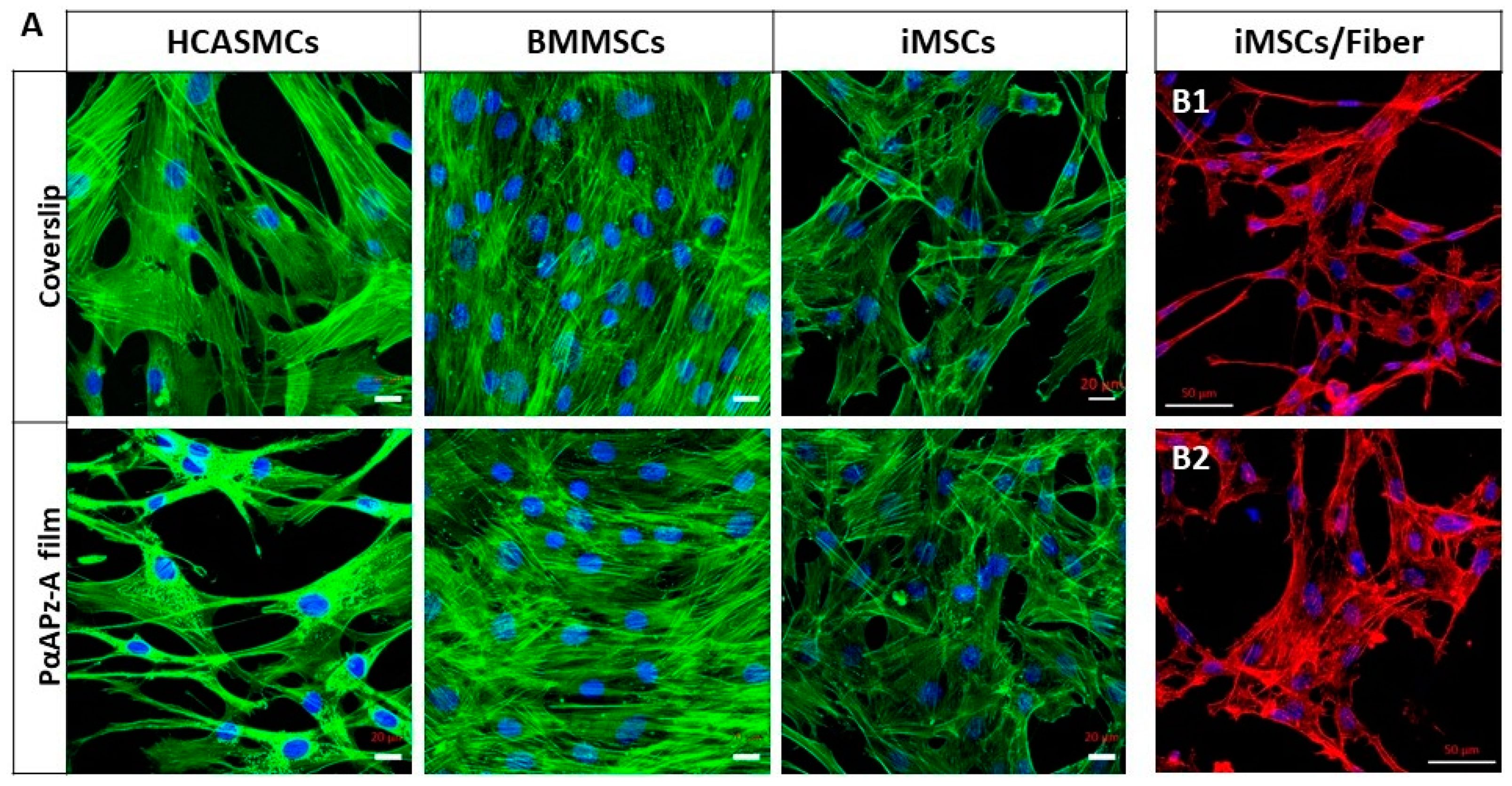 Polymers 14 01555 g004 Polymers 14 01555 g004