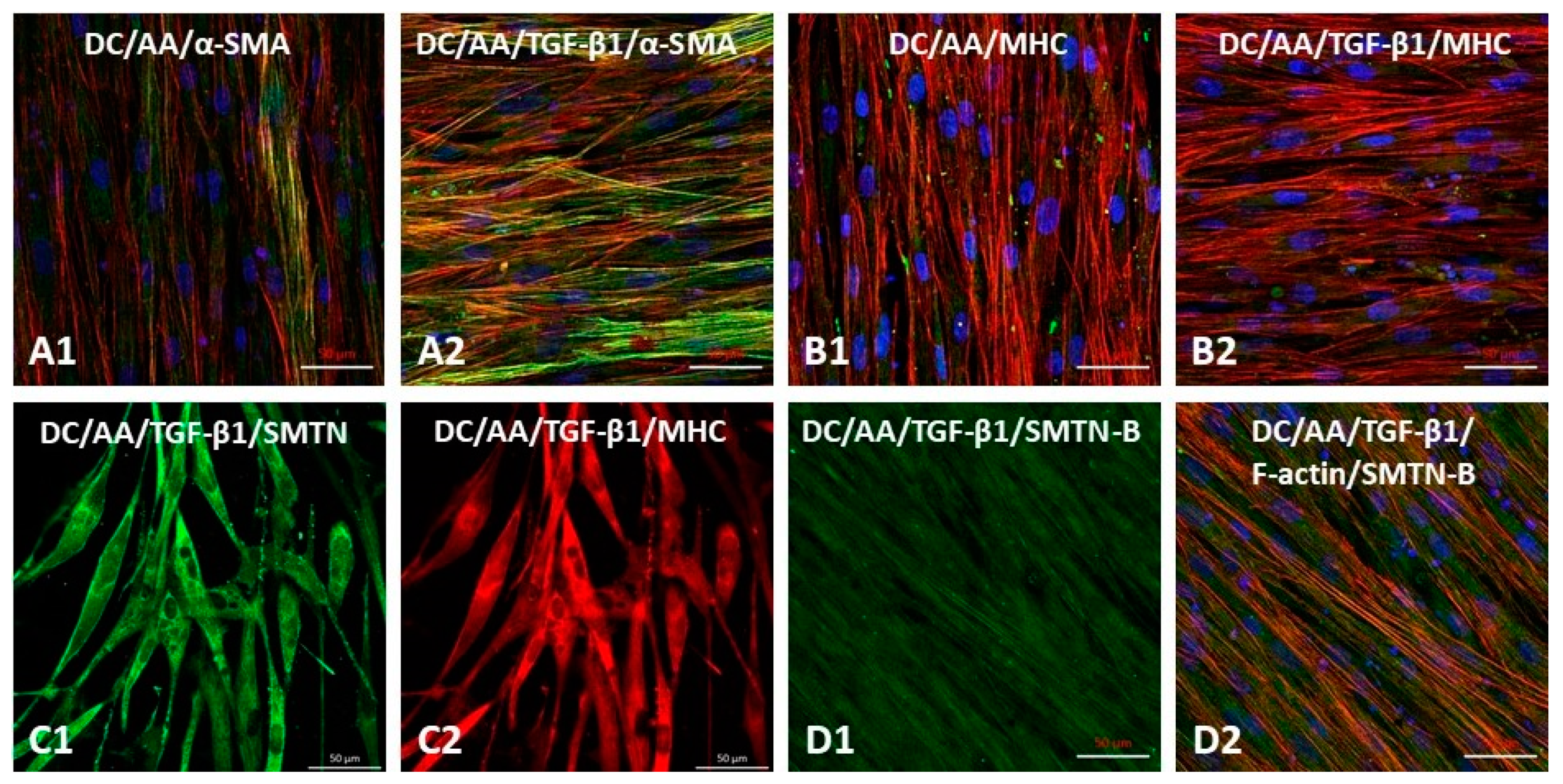 Polymers 14 01555 g006 Polymers 14 01555 g006