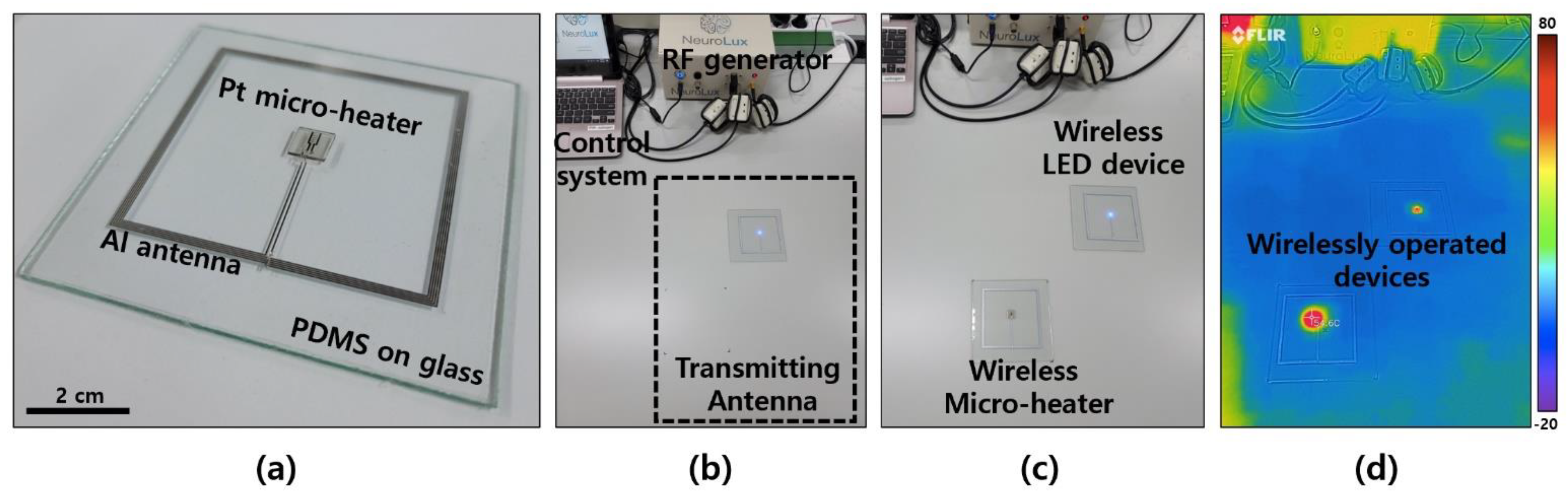 Polymers 14 01557 g002