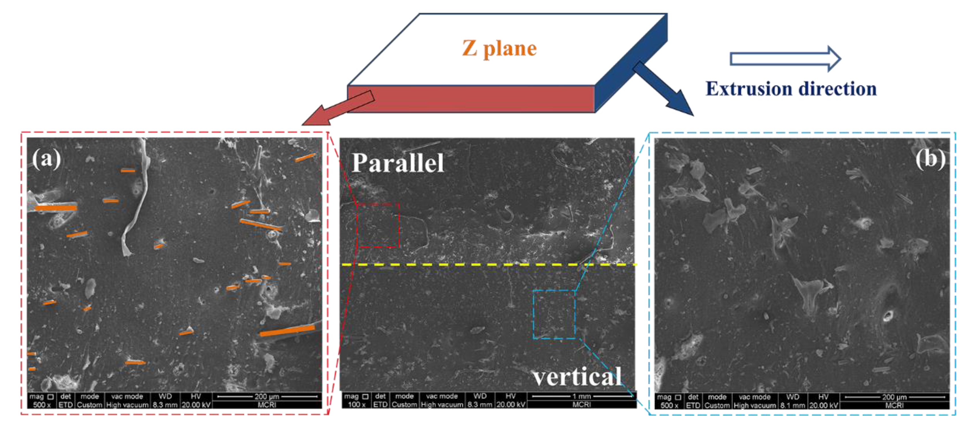 Polymers 14 01570 g005 550