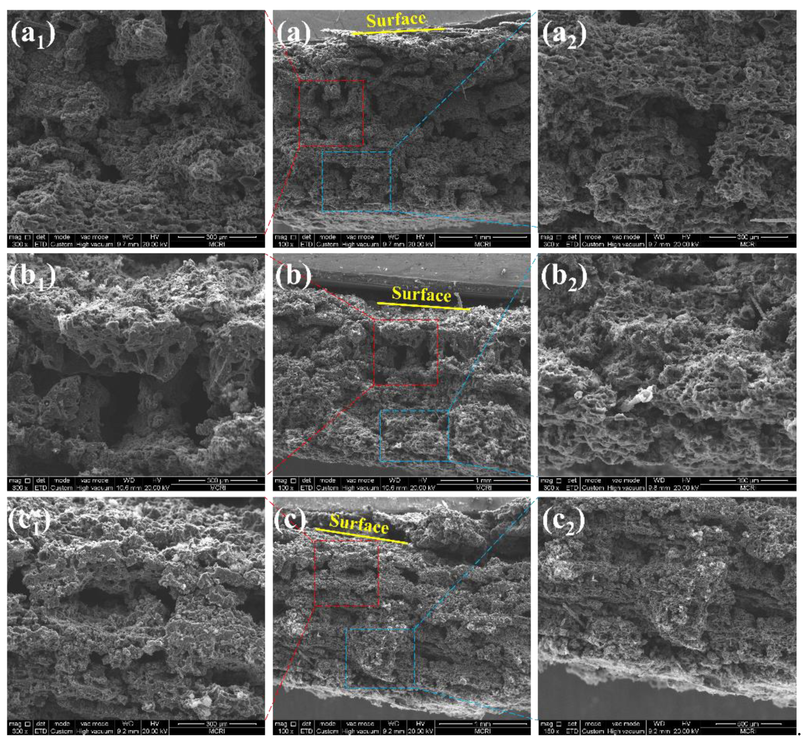 Polymers 14 01570 g015 550