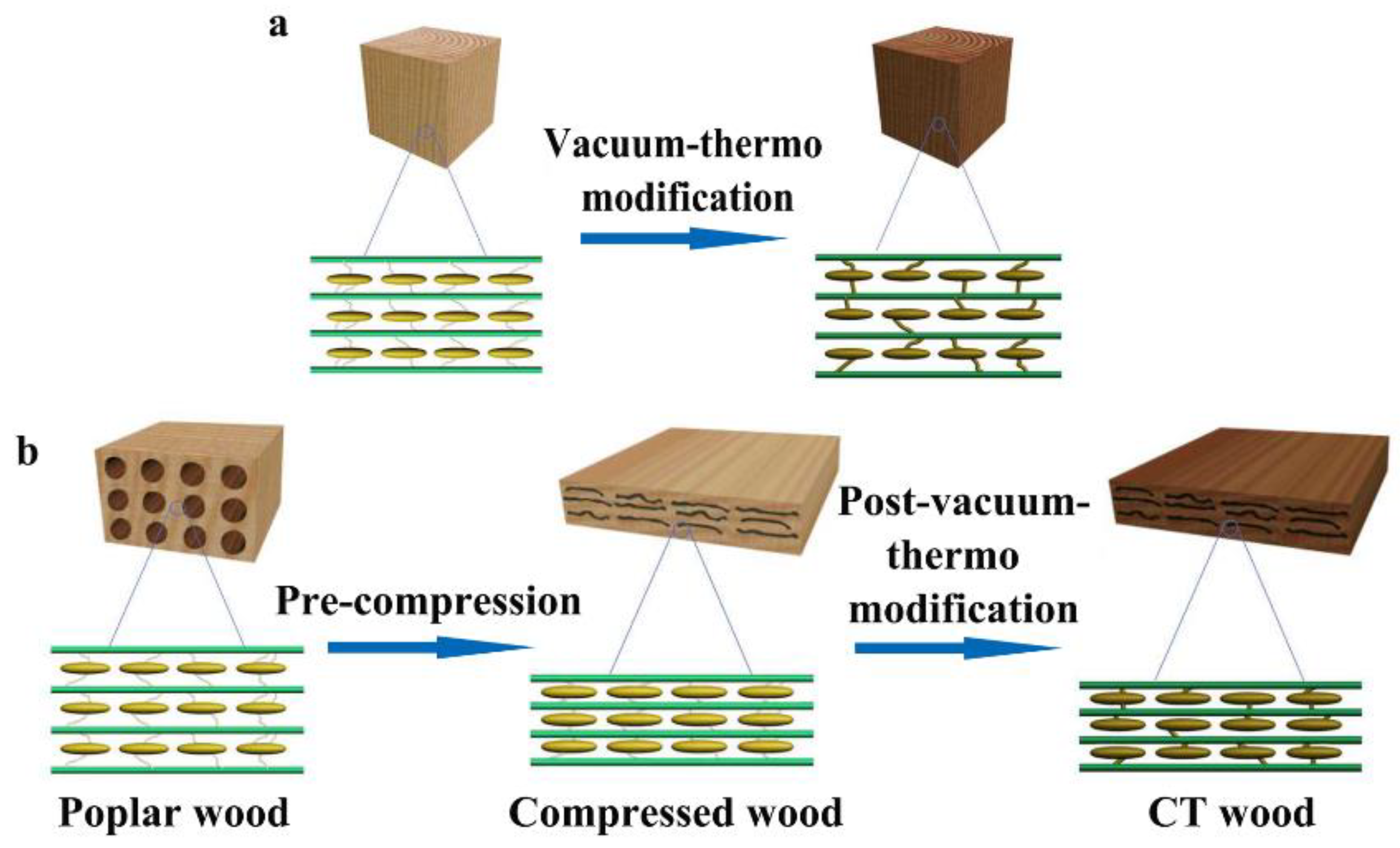 Polymers 14 01571 g001