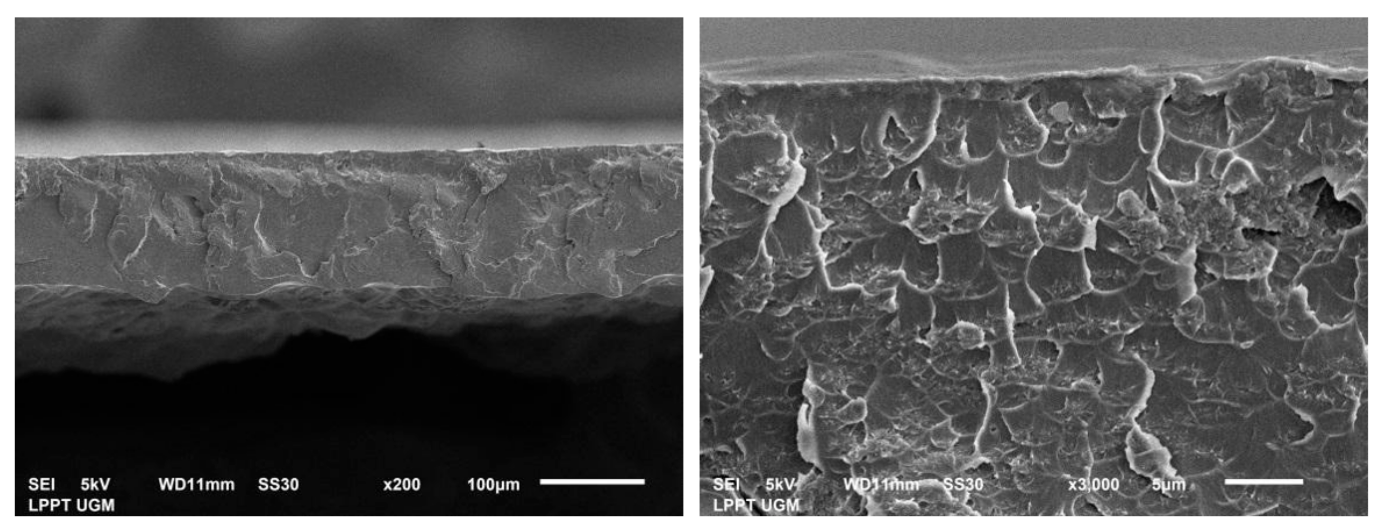 Polymers 14 01572 g005 Polymers 14 01572 g005