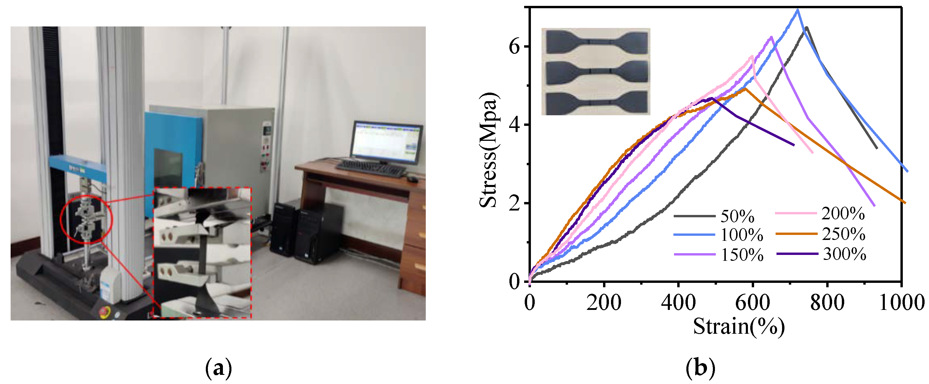 Polymers 14 01576 g011