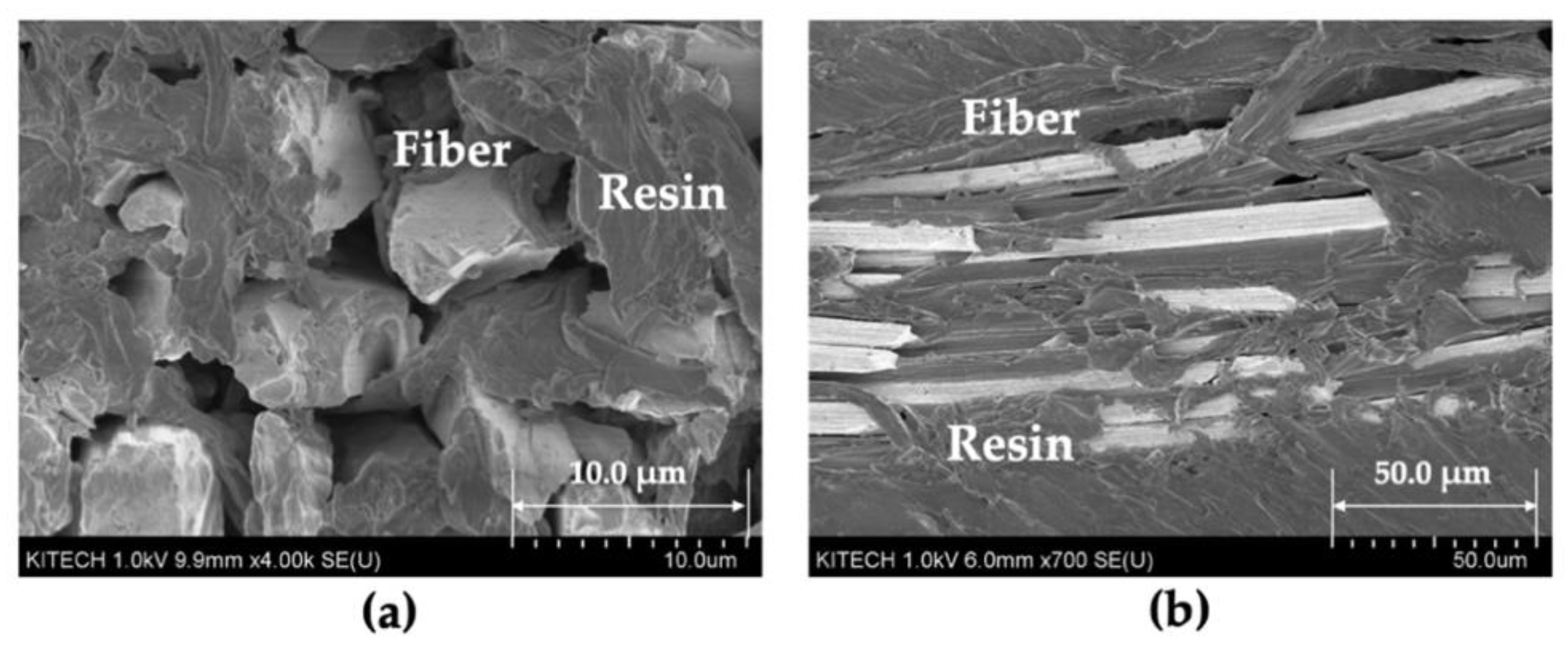 Polymers 14 01577 g009