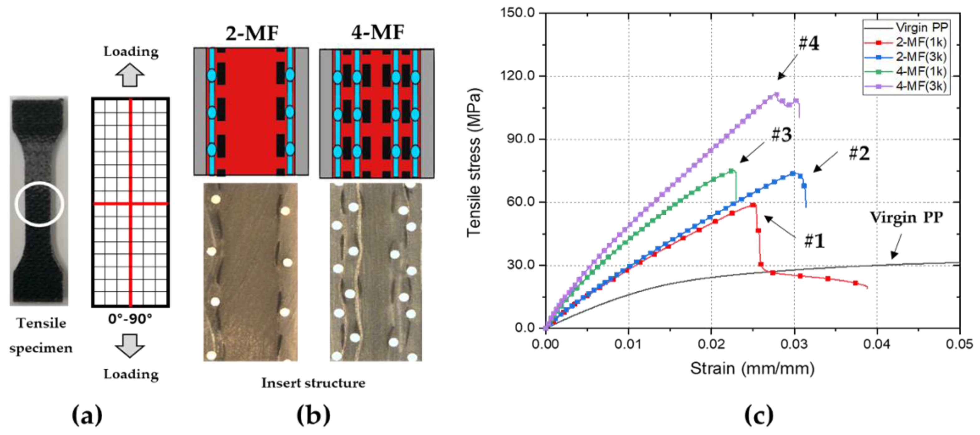 Polymers 14 01577 g010