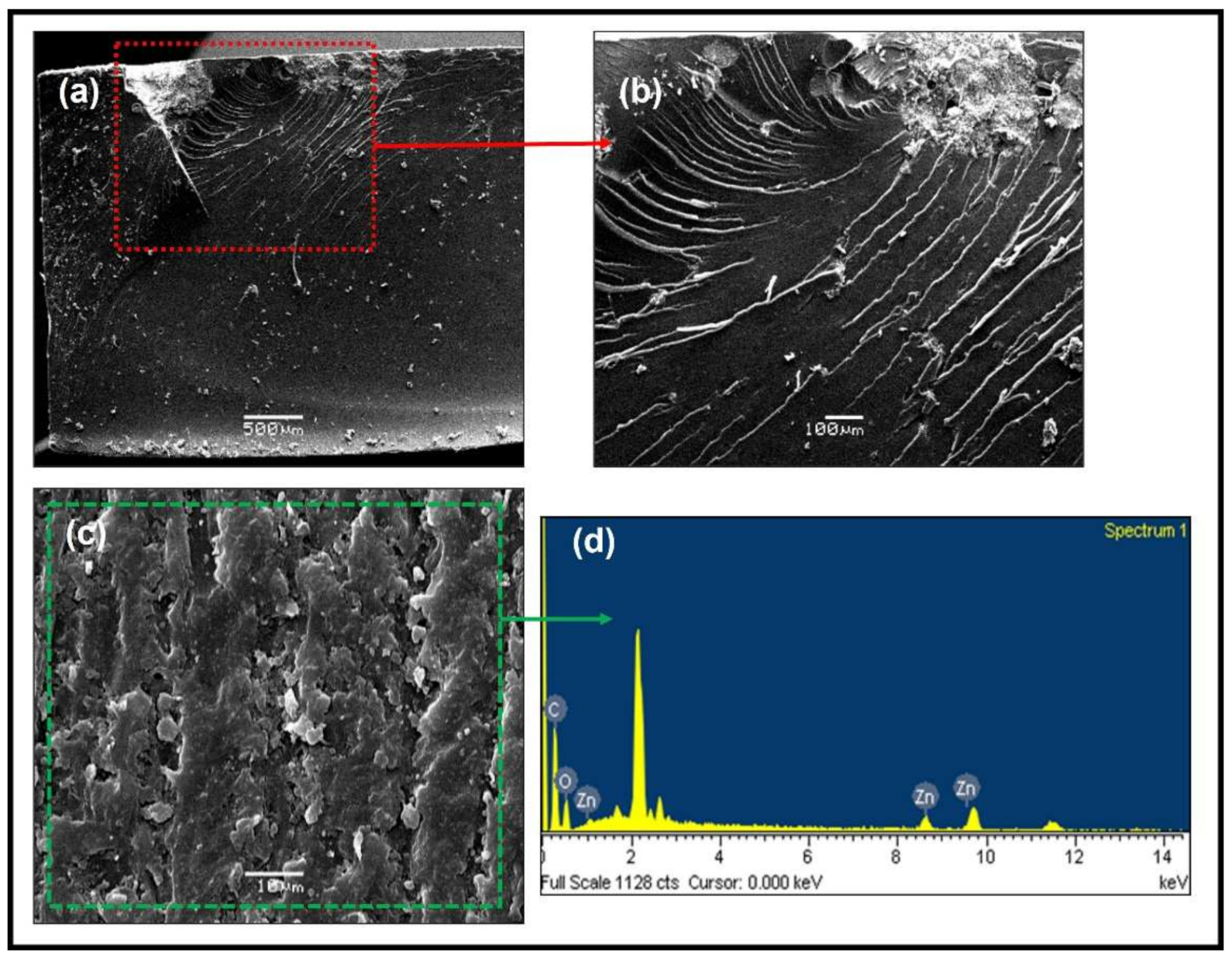 Polymers 14 01579 g011