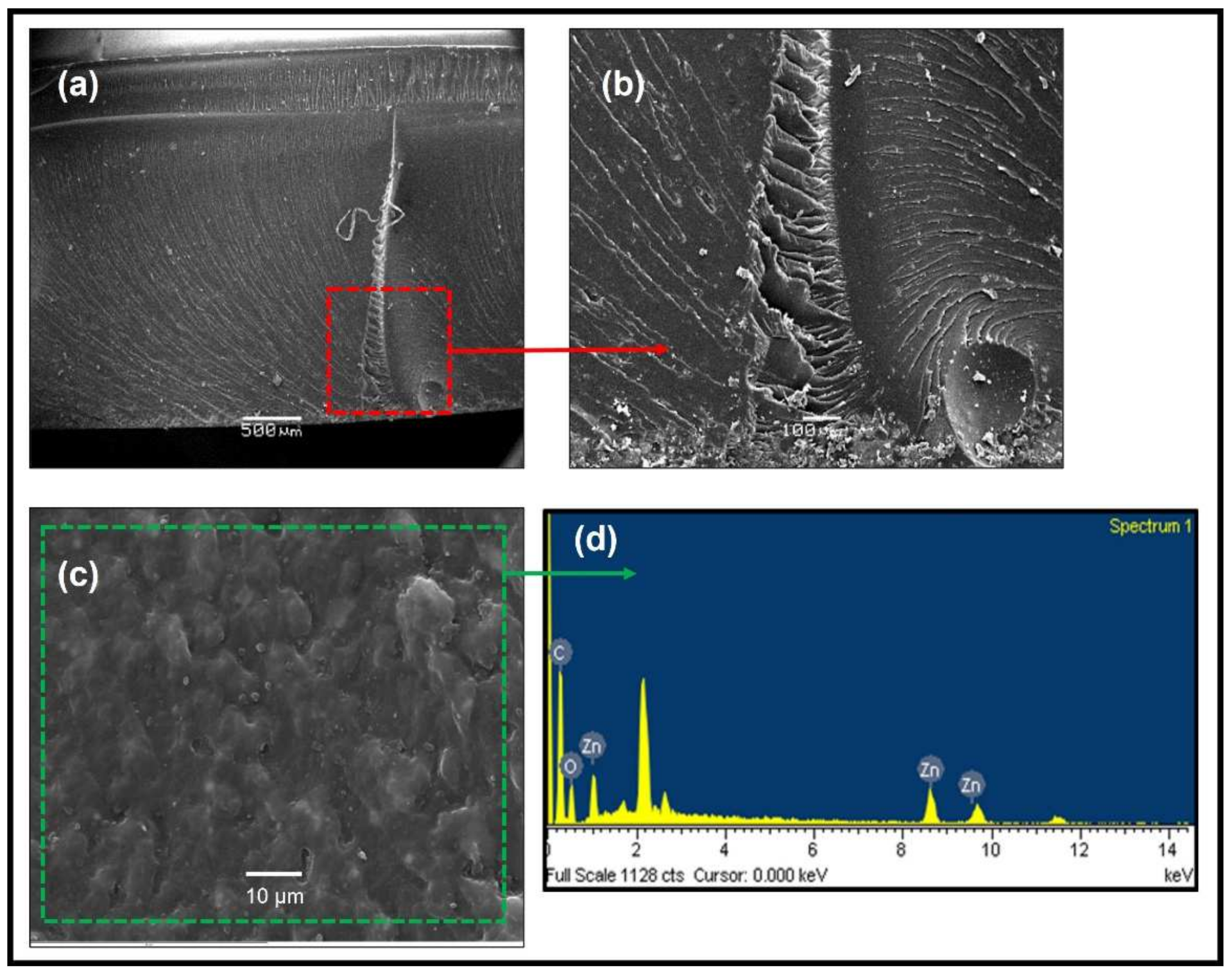 Polymers 14 01579 g012