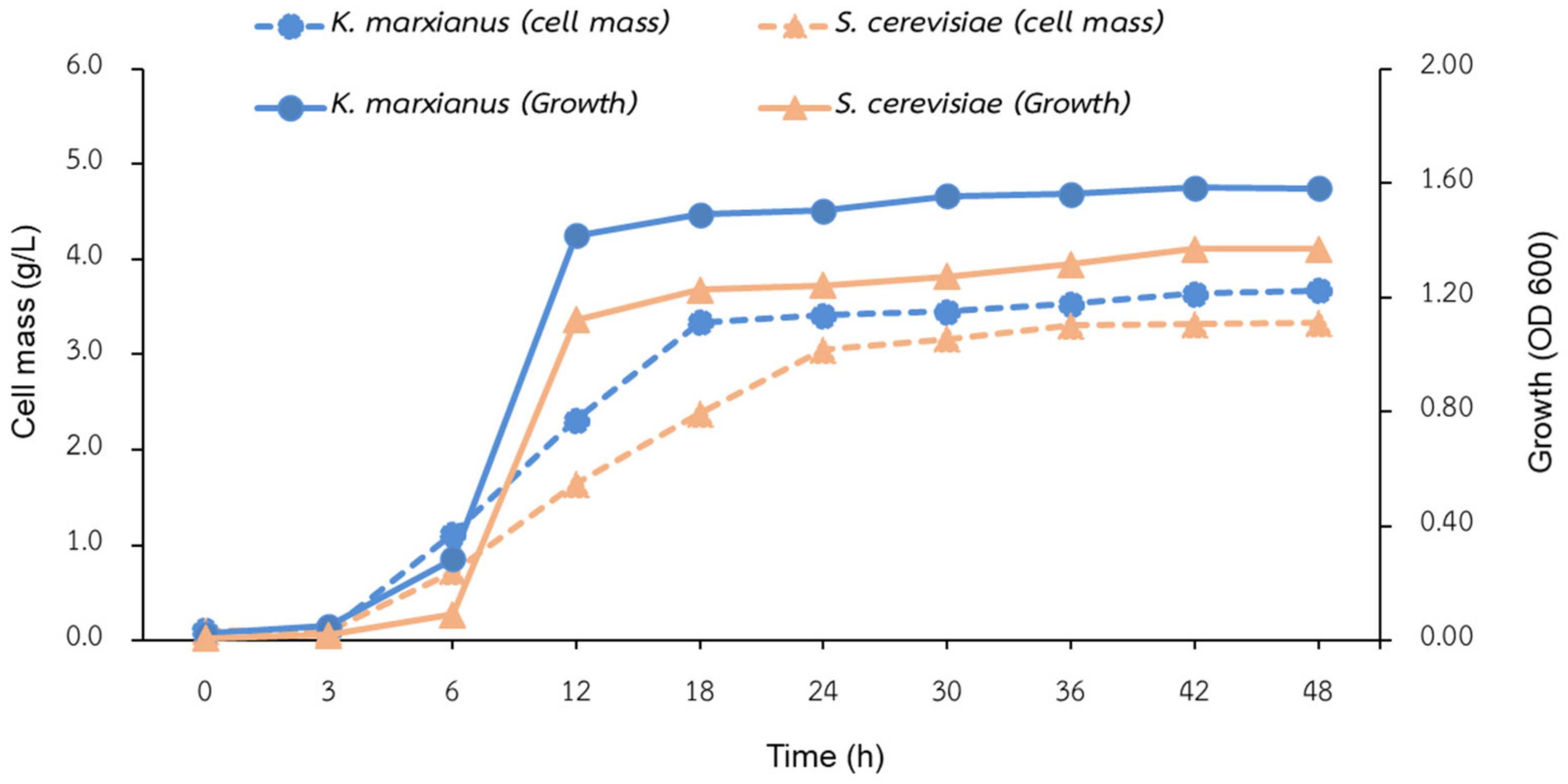 Polymers 14 01582 g001