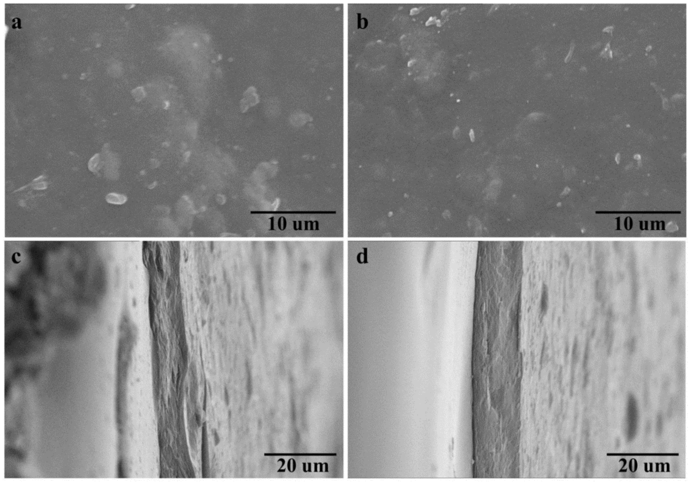Polymers 14 01589 g006 550