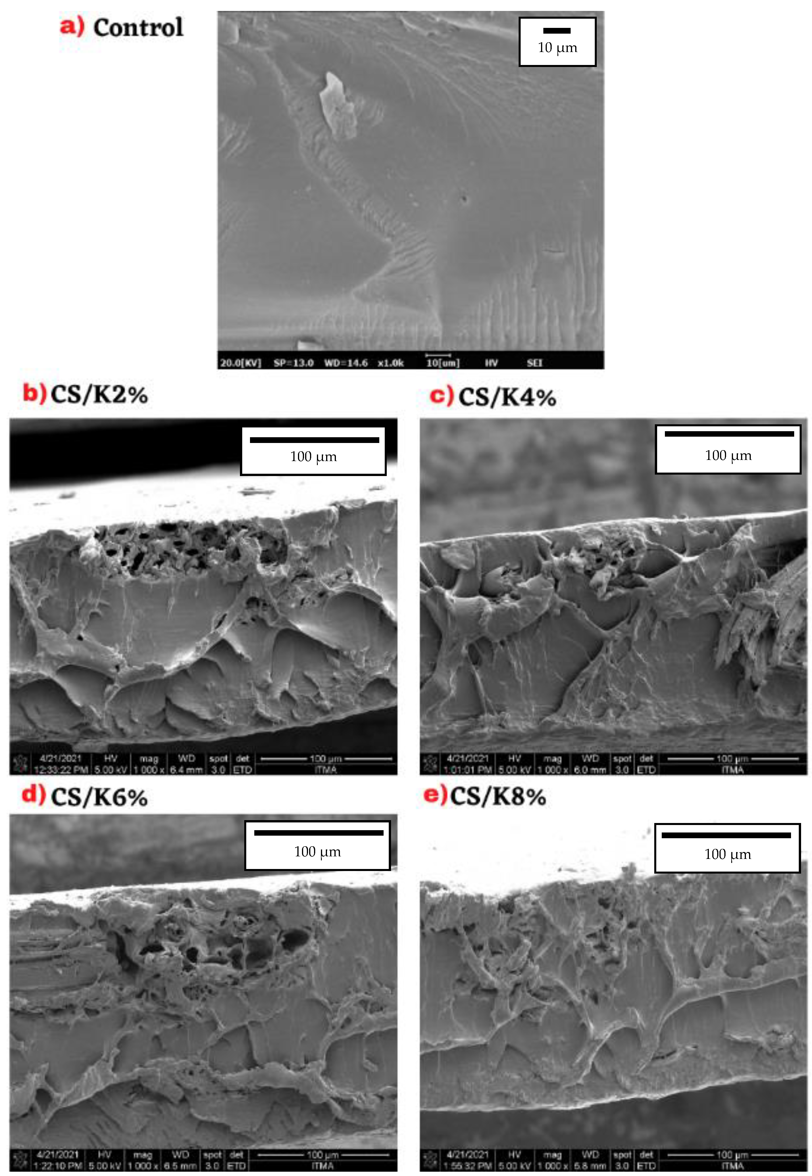 Polymers 14 01590 g007