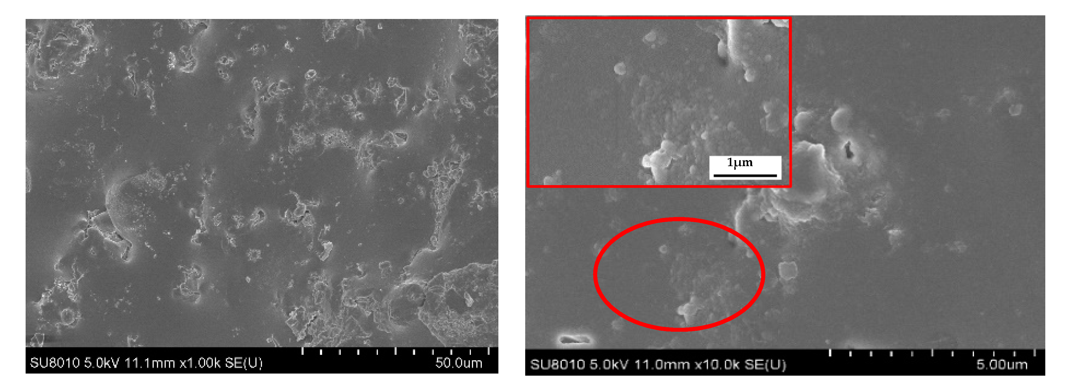 Polymers 14 01591 g010