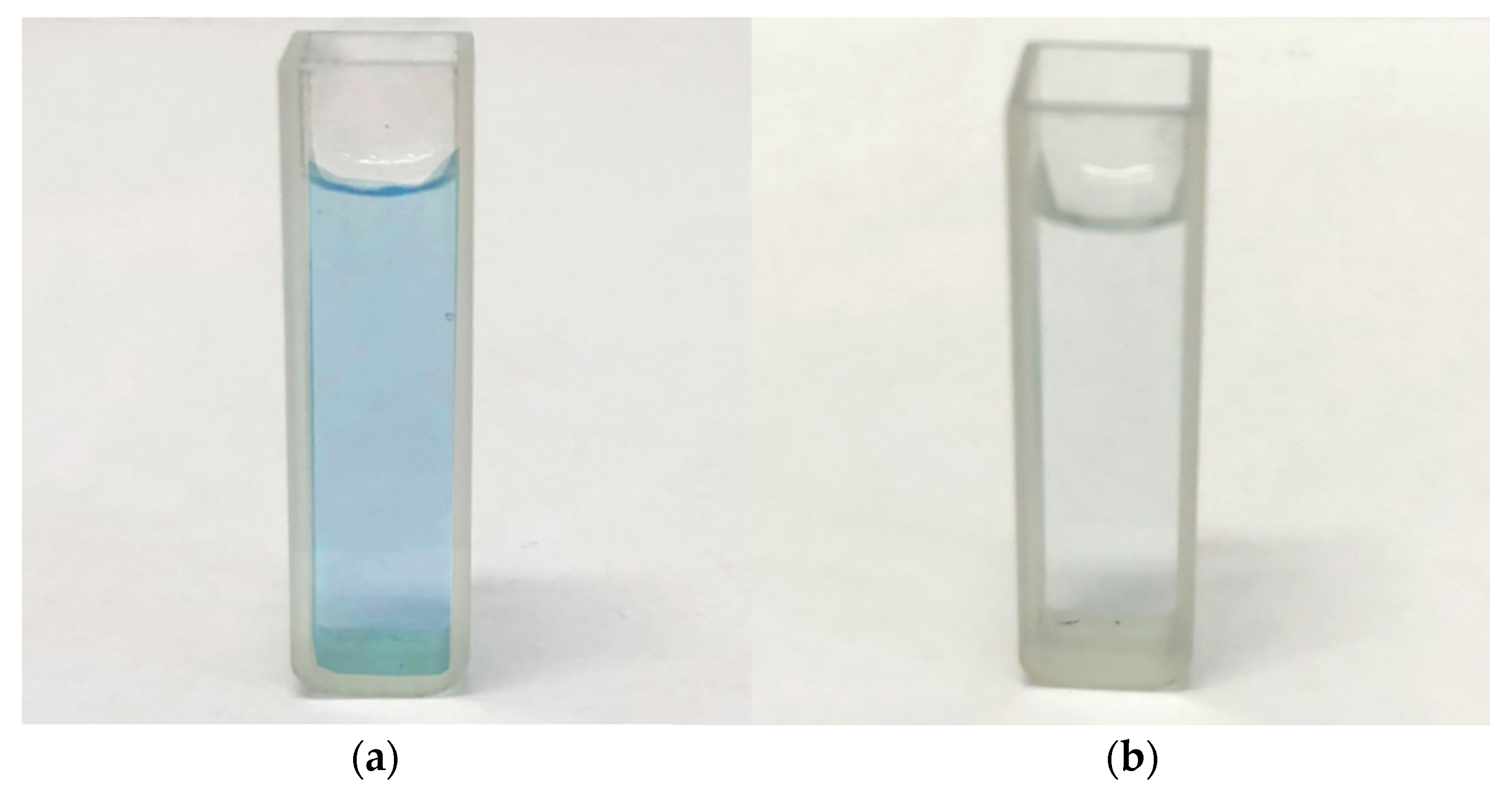 Polymers 14 01593 g011 550