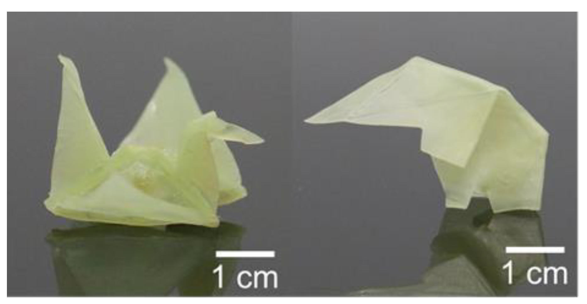Polymers 14 01598 g006