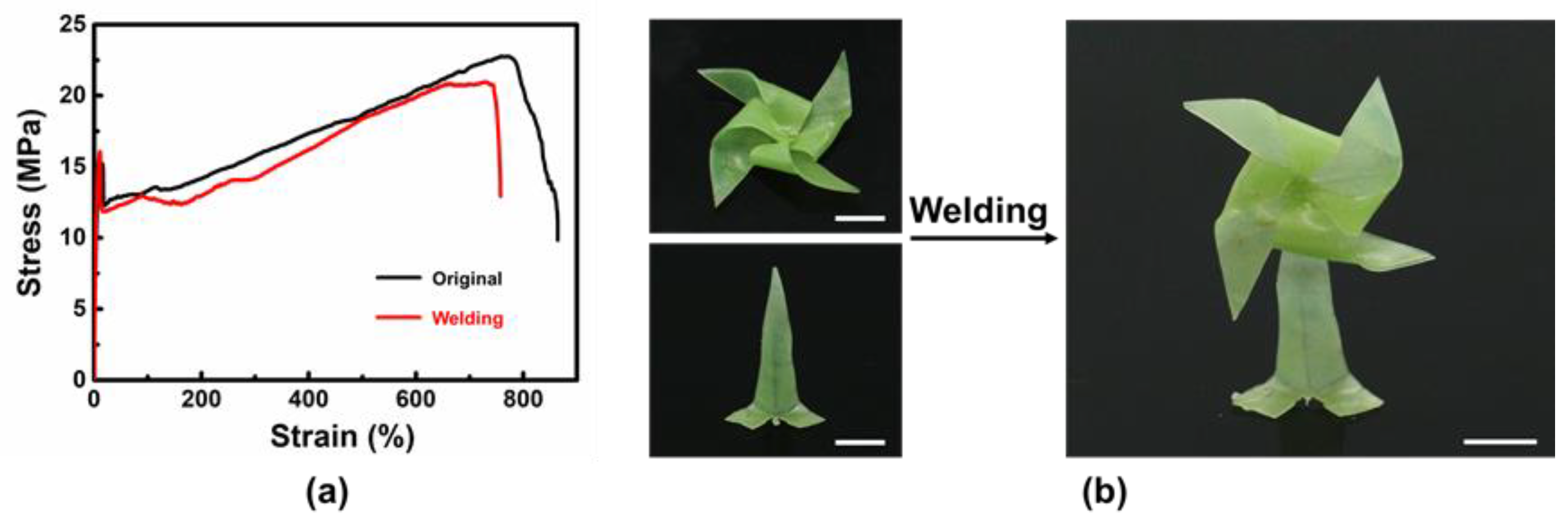 Polymers 14 01598 g008