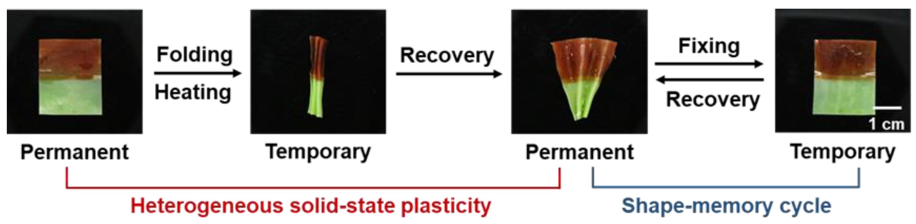 Polymers 14 01598 g009