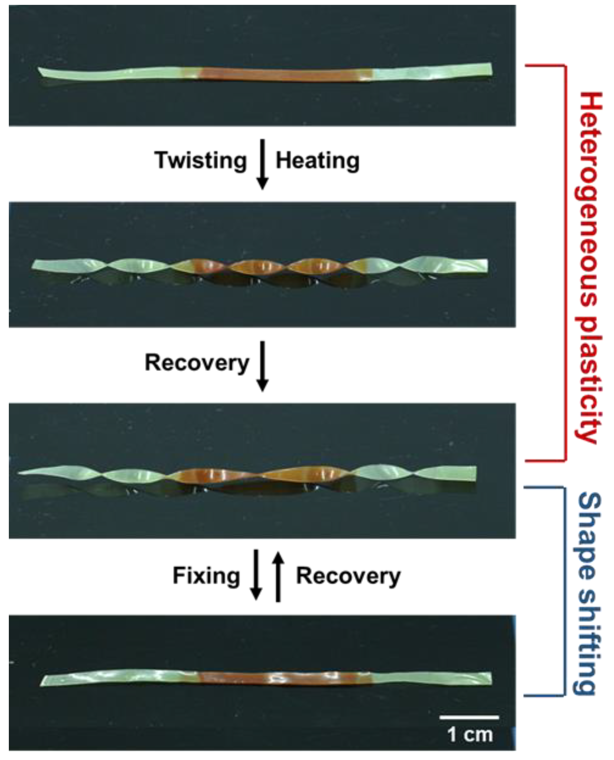 Polymers 14 01598 g010
