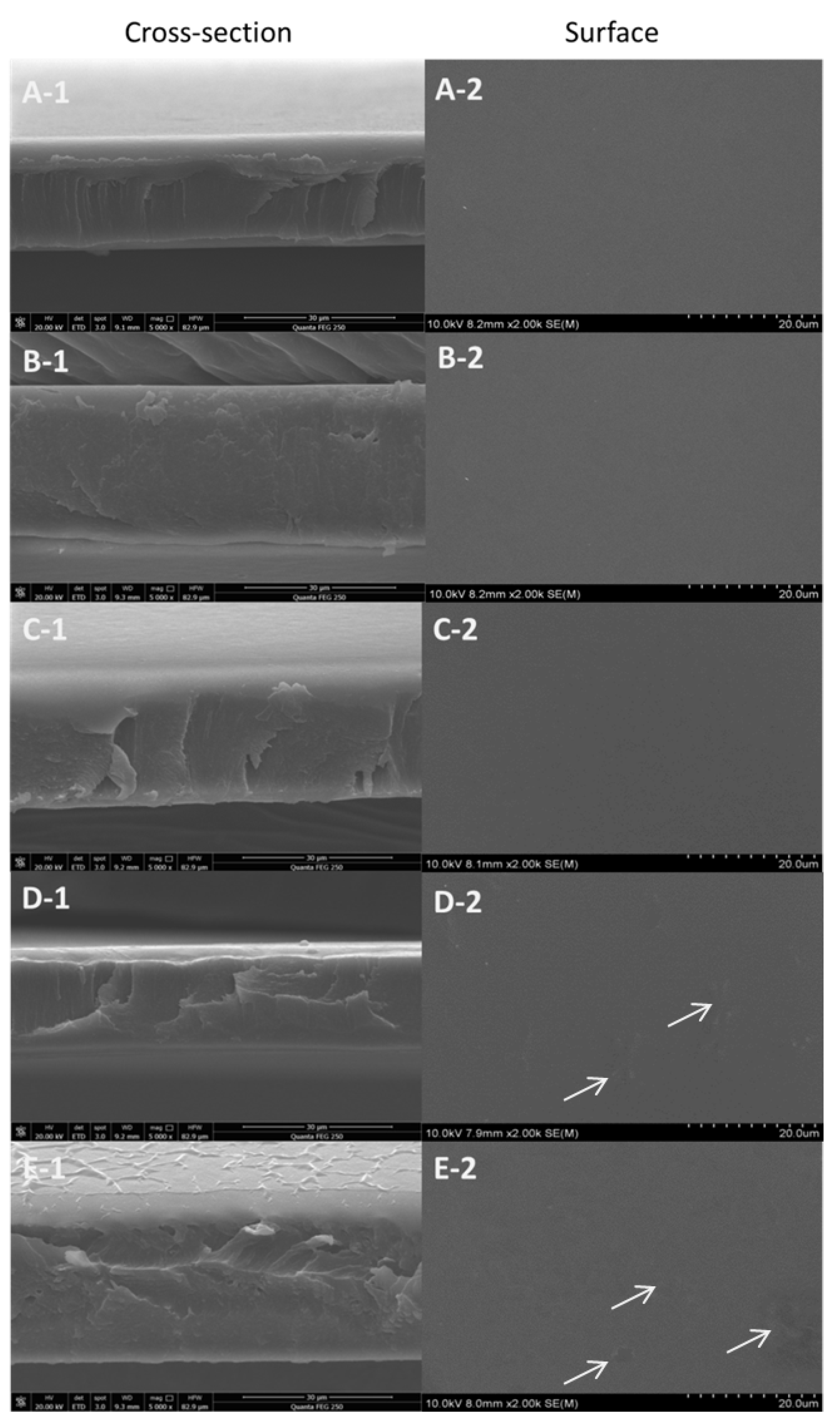 Polymers 14 01600 g003