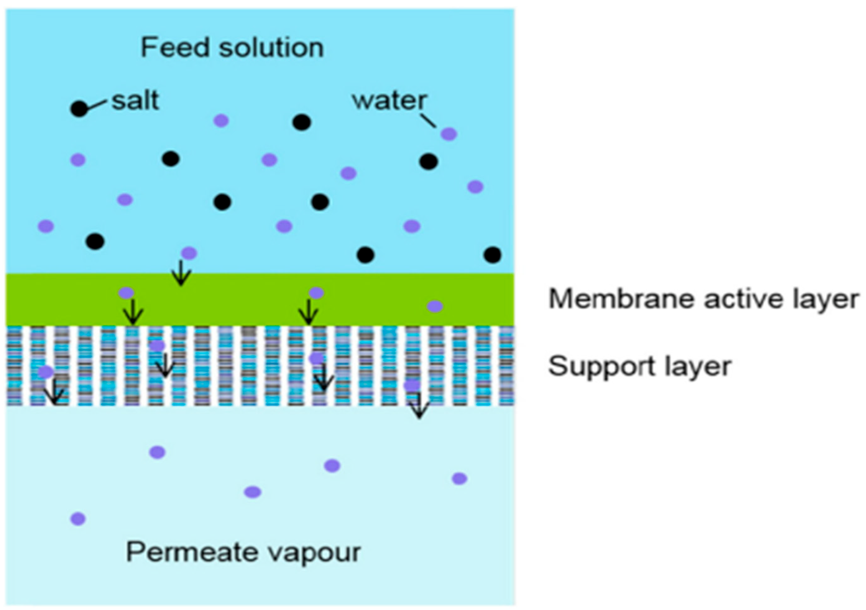 Polymers 14 01604 g010