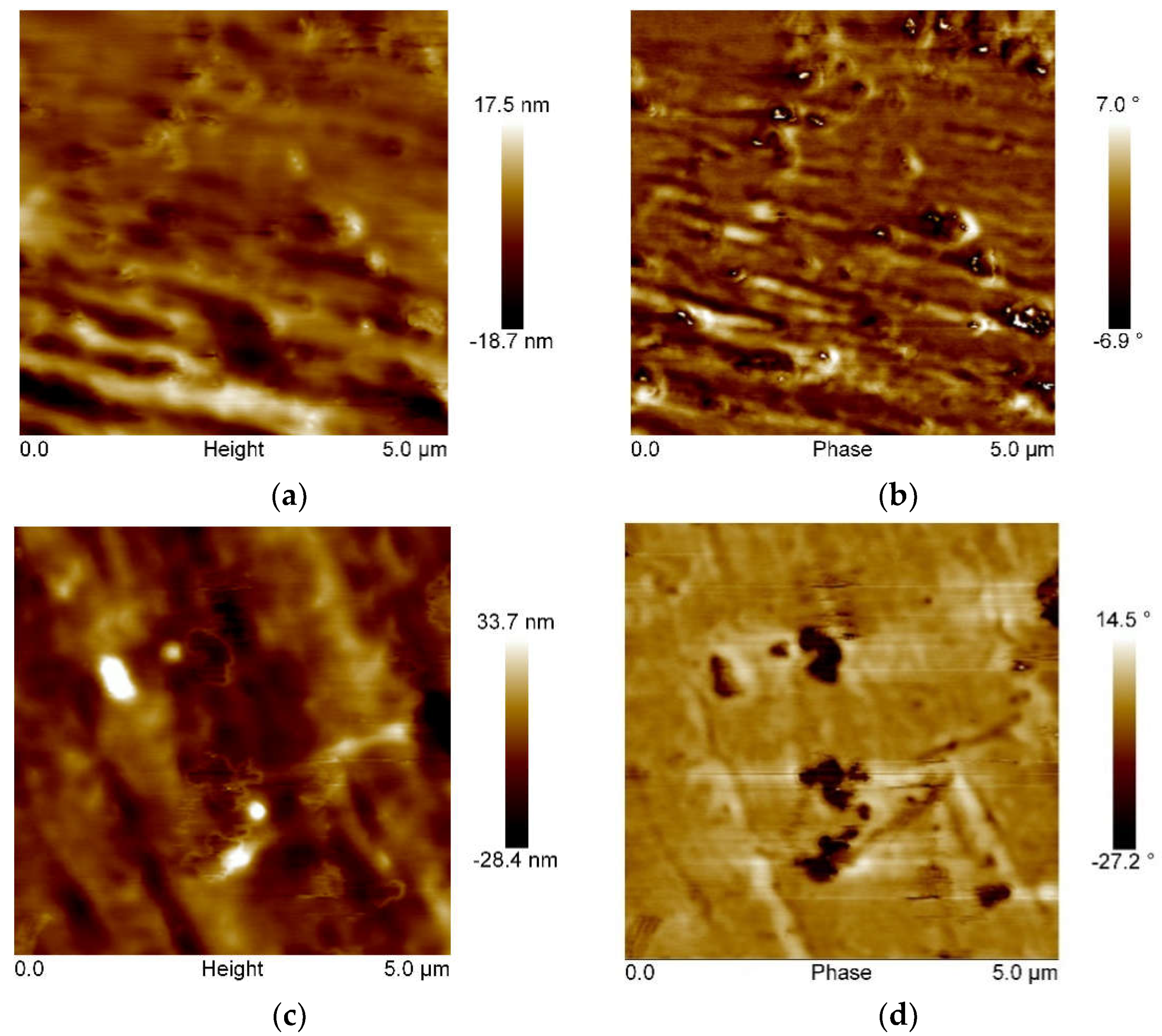 Polymers 14 01605 g006a 550