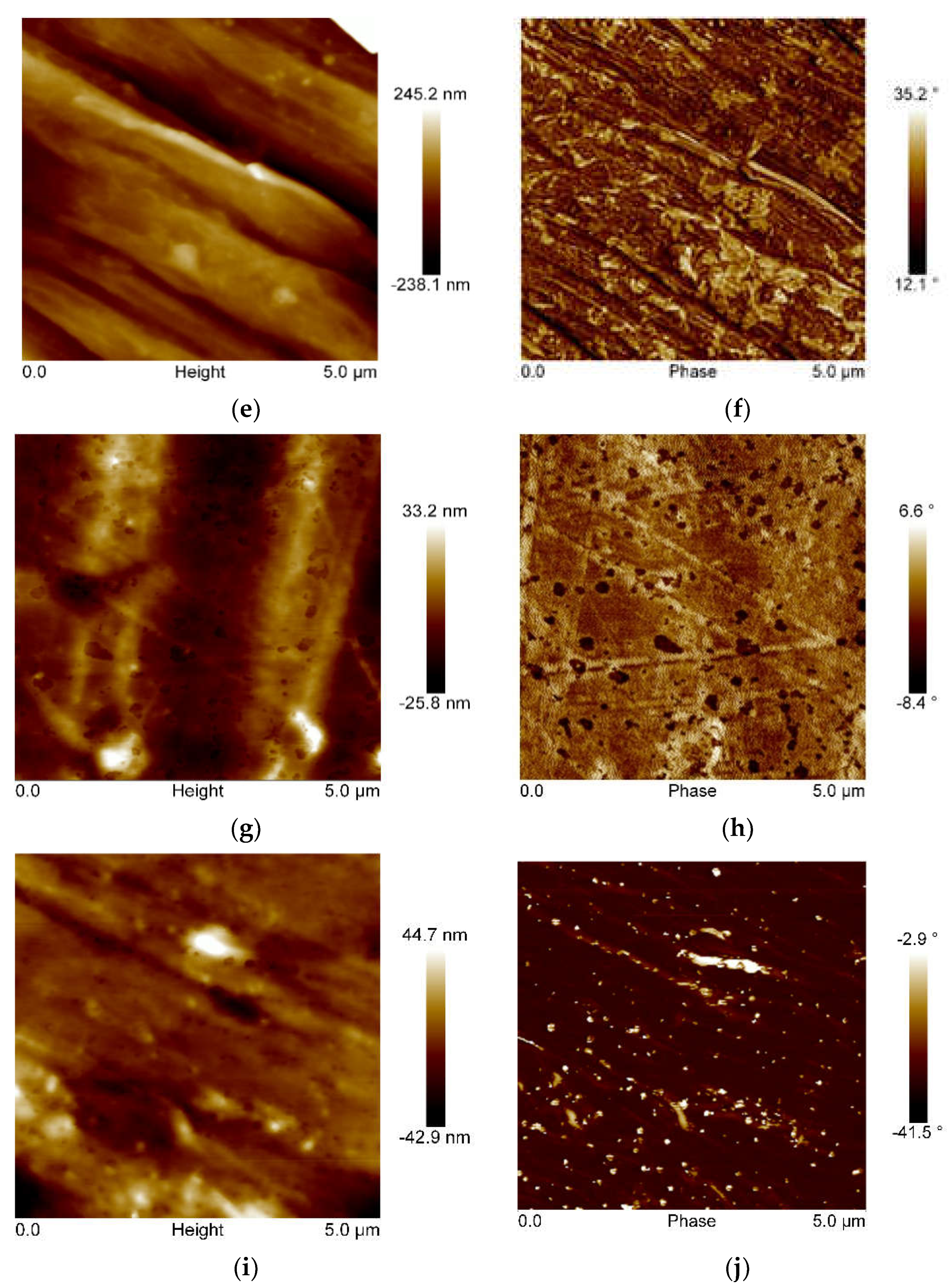 Polymers 14 01605 g006b 550