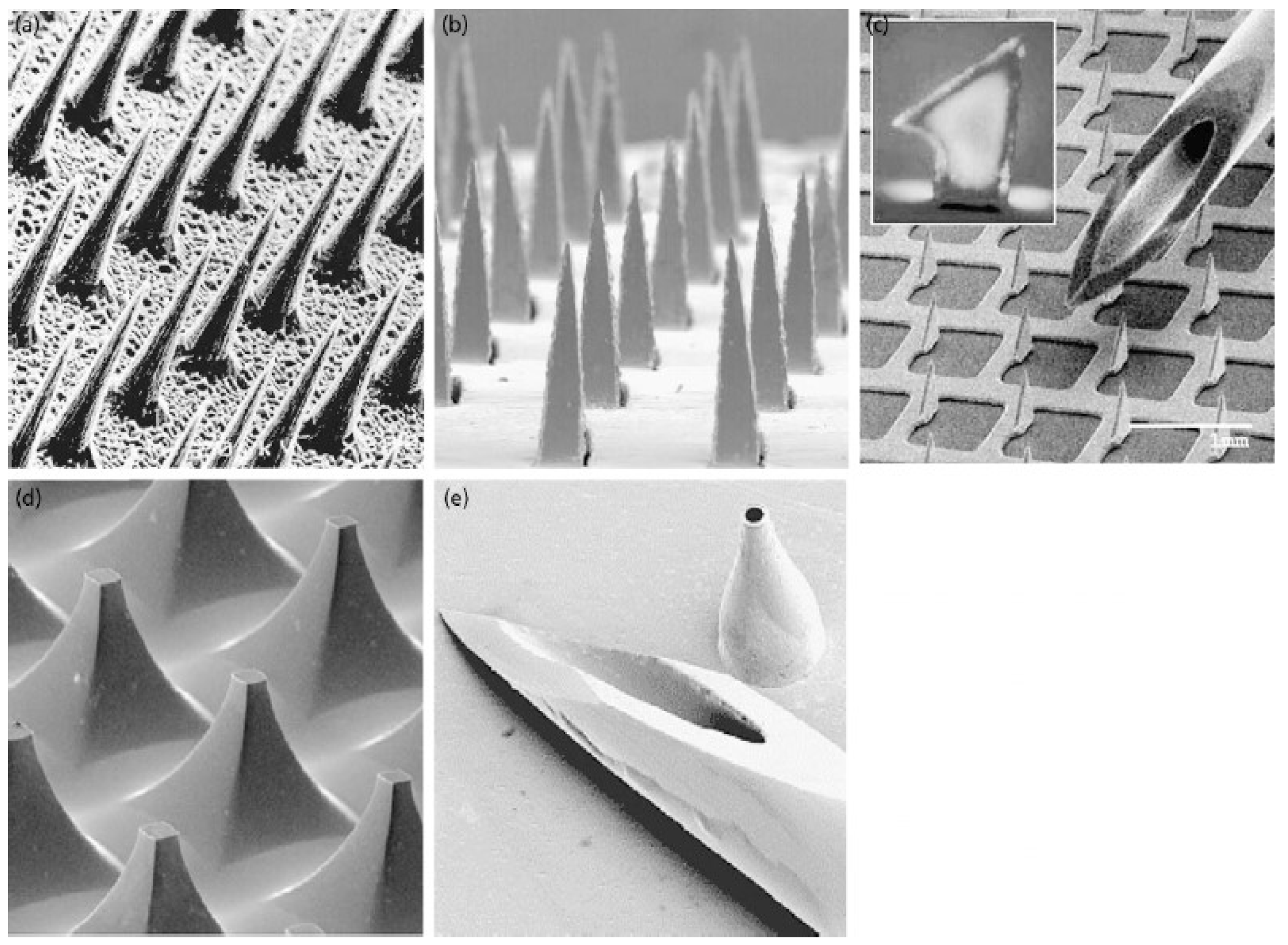 Polymers 14 01608 g001 Polymers 14 01608 g001
