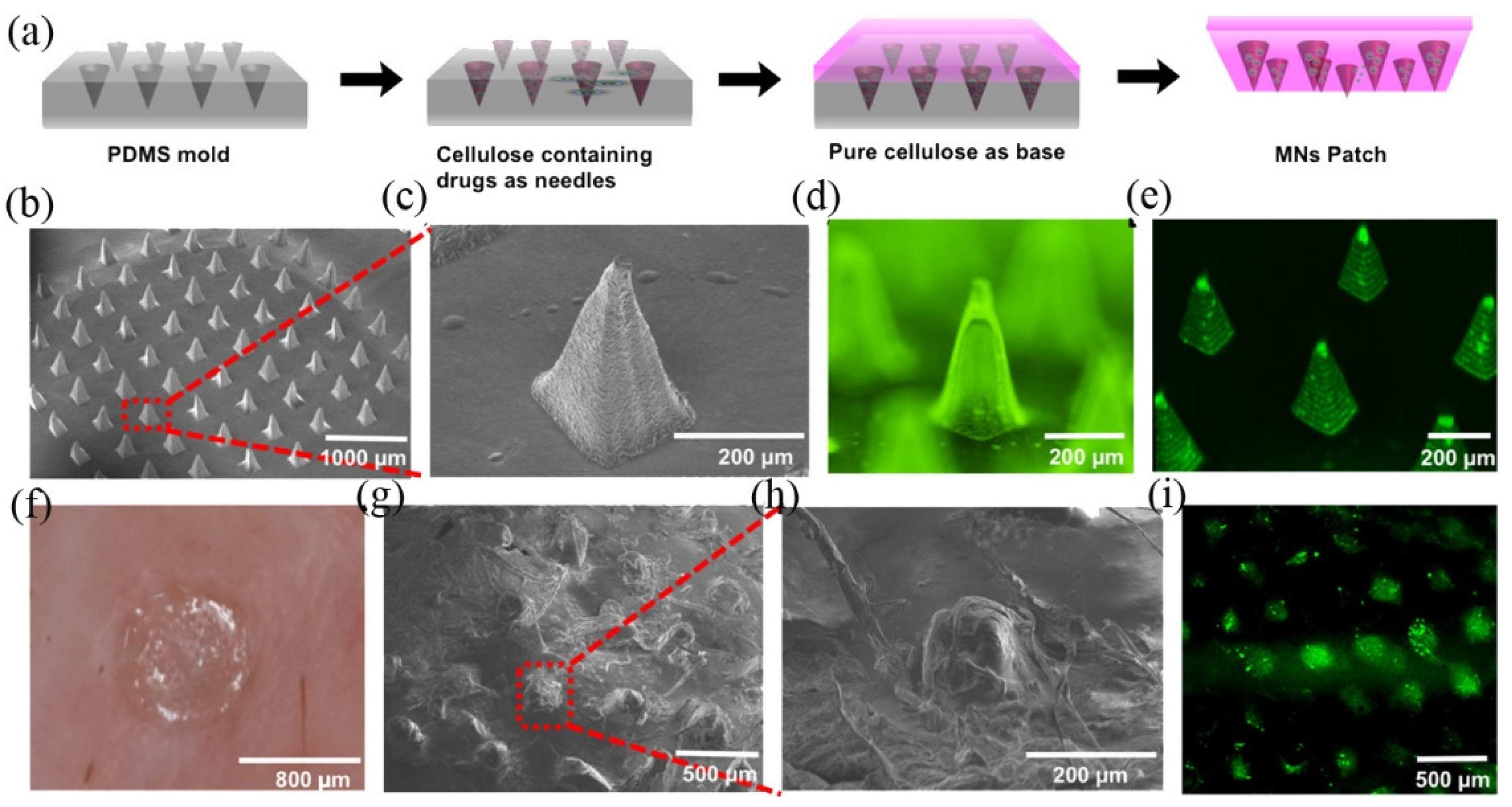 Polymers 14 01608 g003 Polymers 14 01608 g003