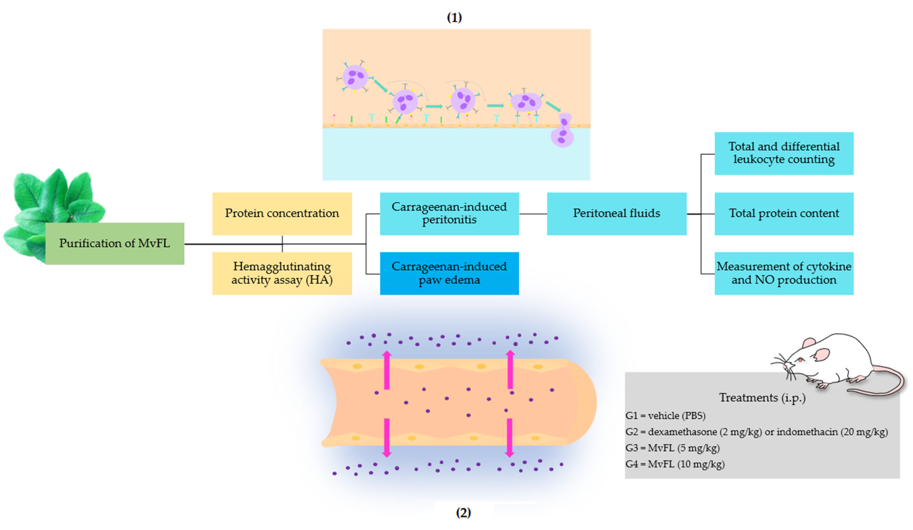 Polymers 14 01609 g001 550