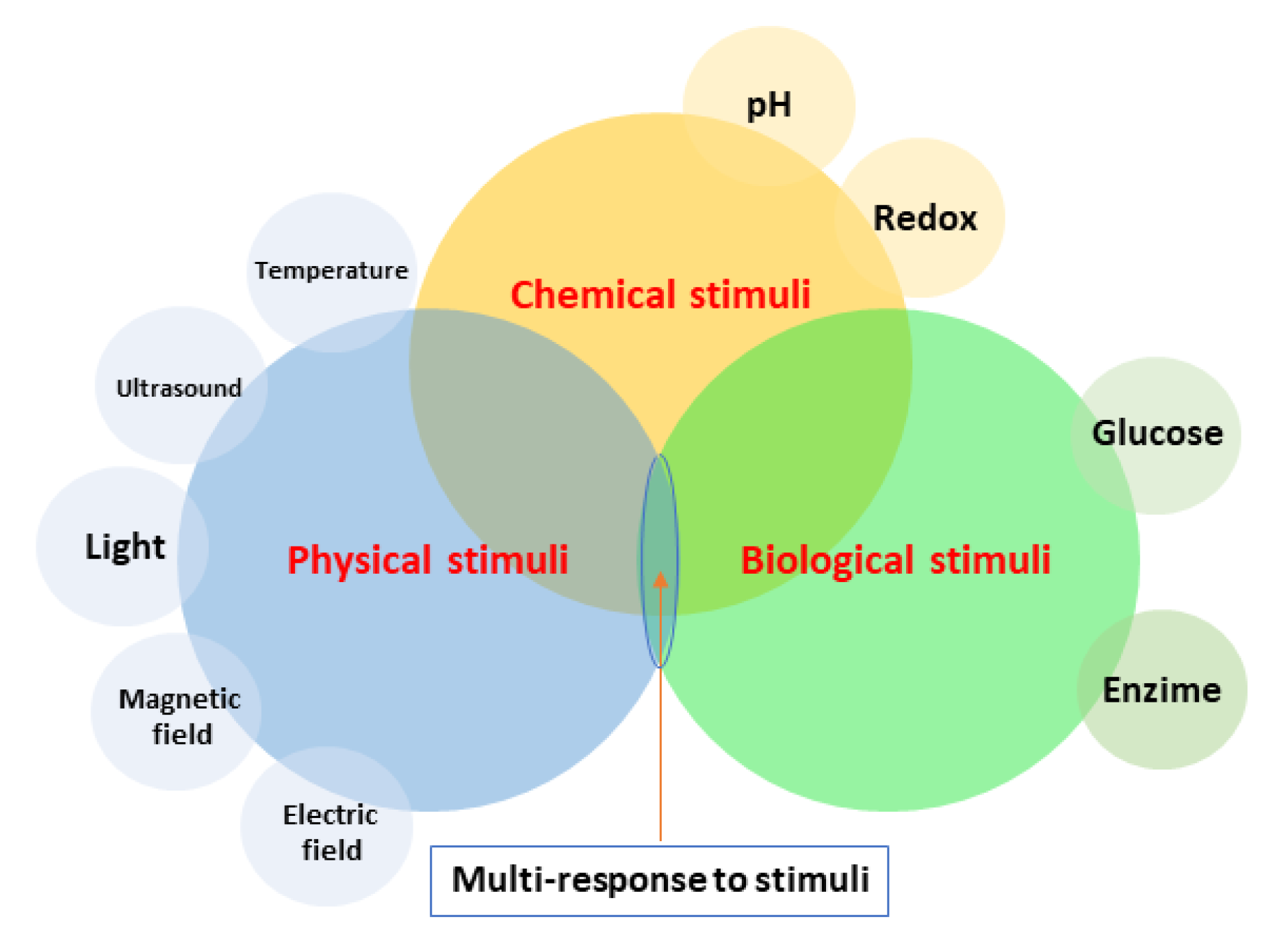 Polymers 14 01611 g002