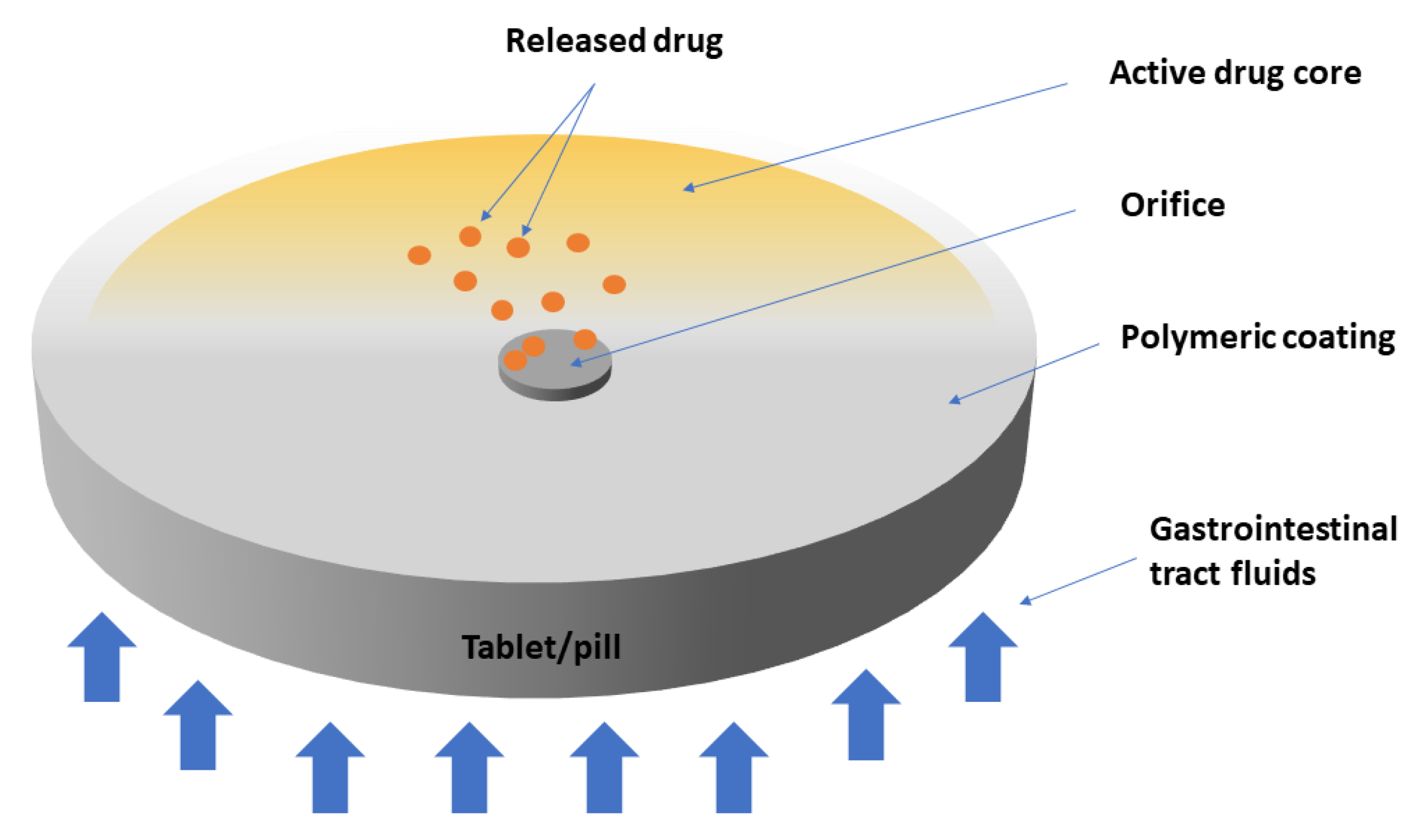 Polymers 14 01611 g003