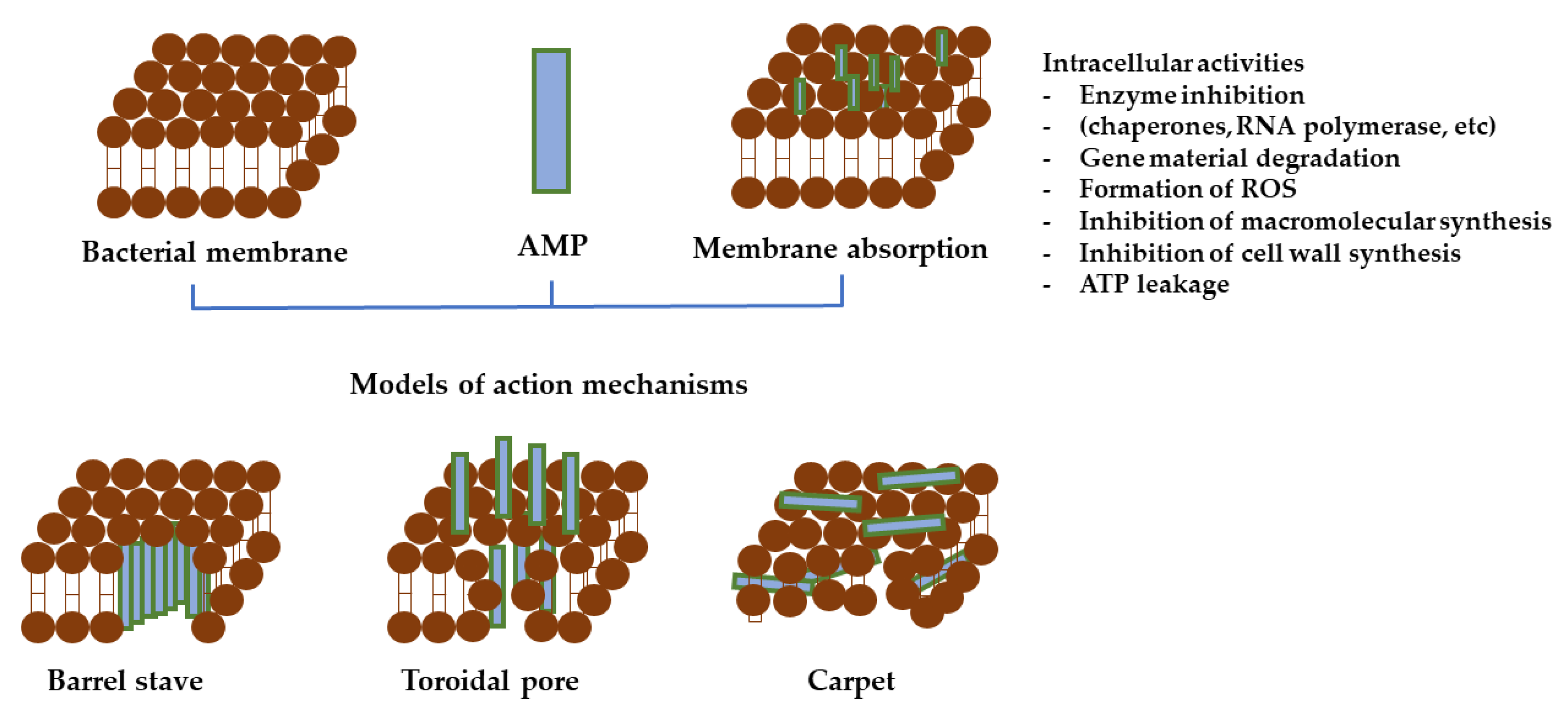 Polymers 14 01611 g006