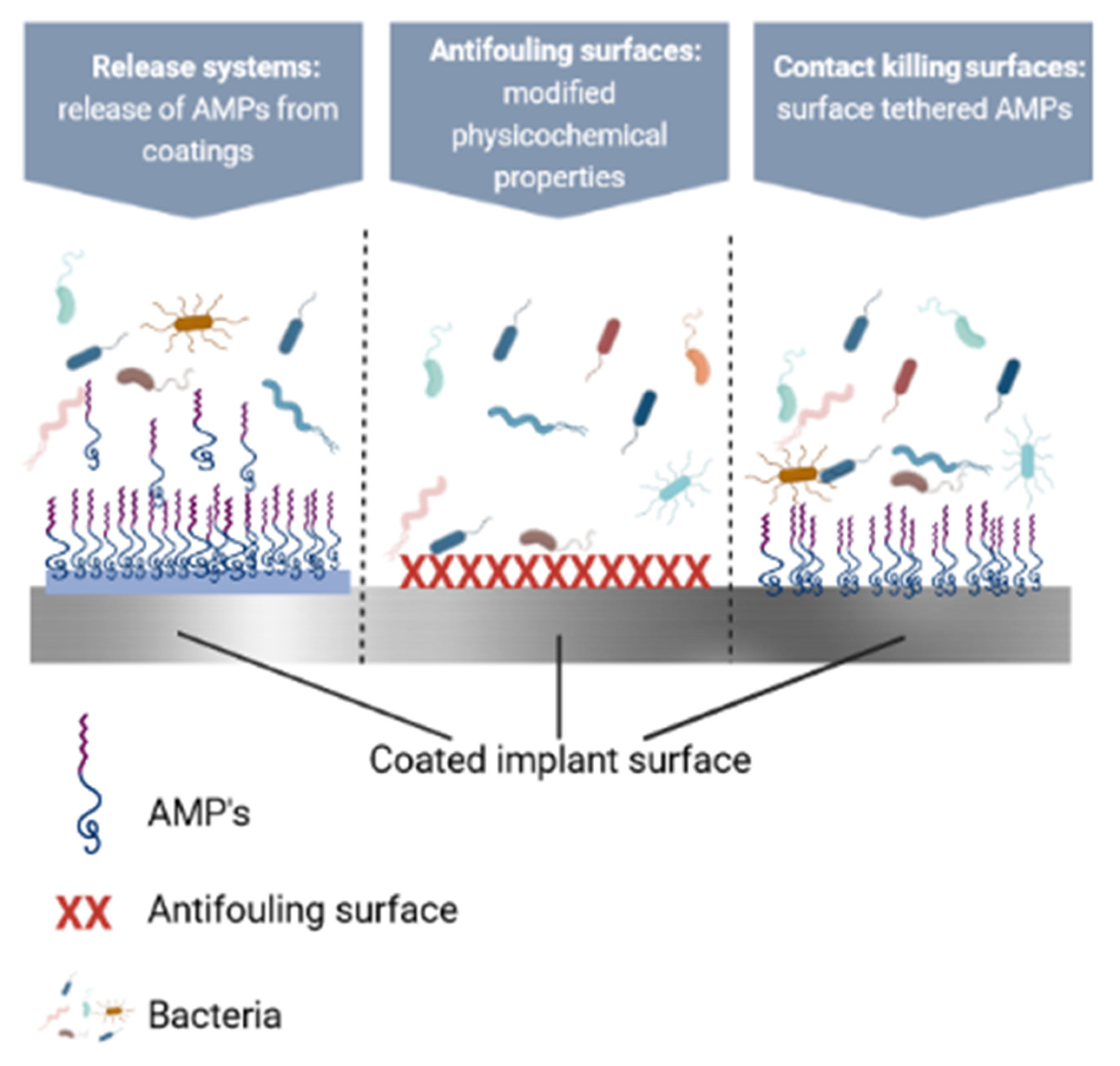 Polymers 14 01611 g007