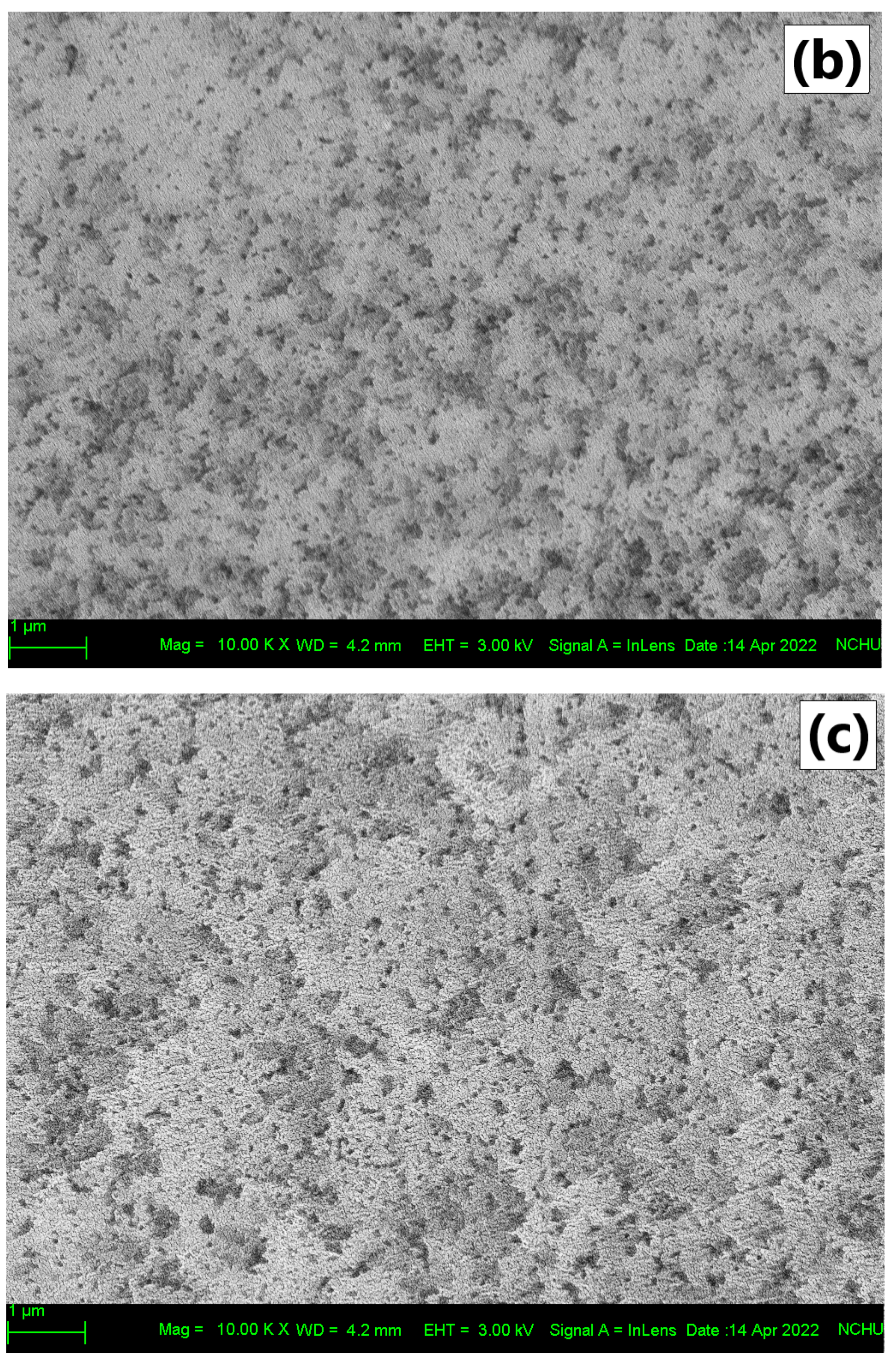 Polymers 14 01618 g002b 550