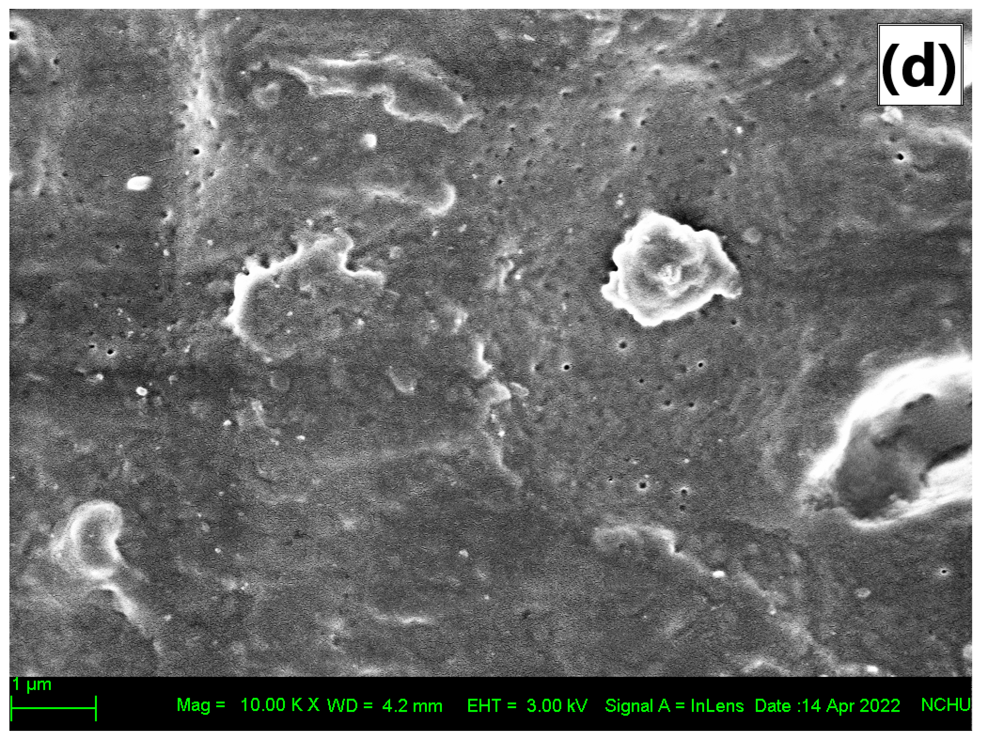 Polymers 14 01618 g002c 550