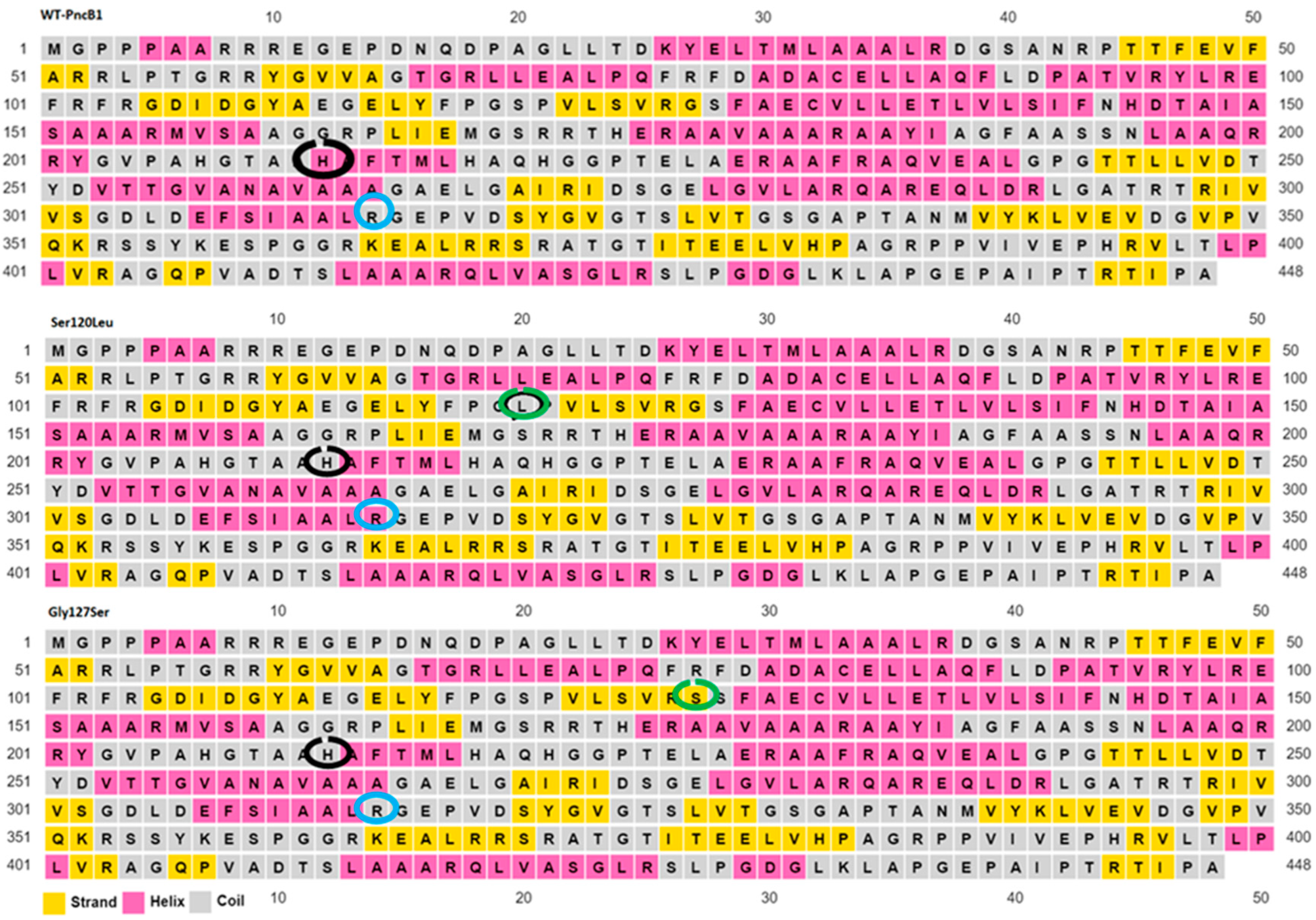 Polymers 14 01623 g003