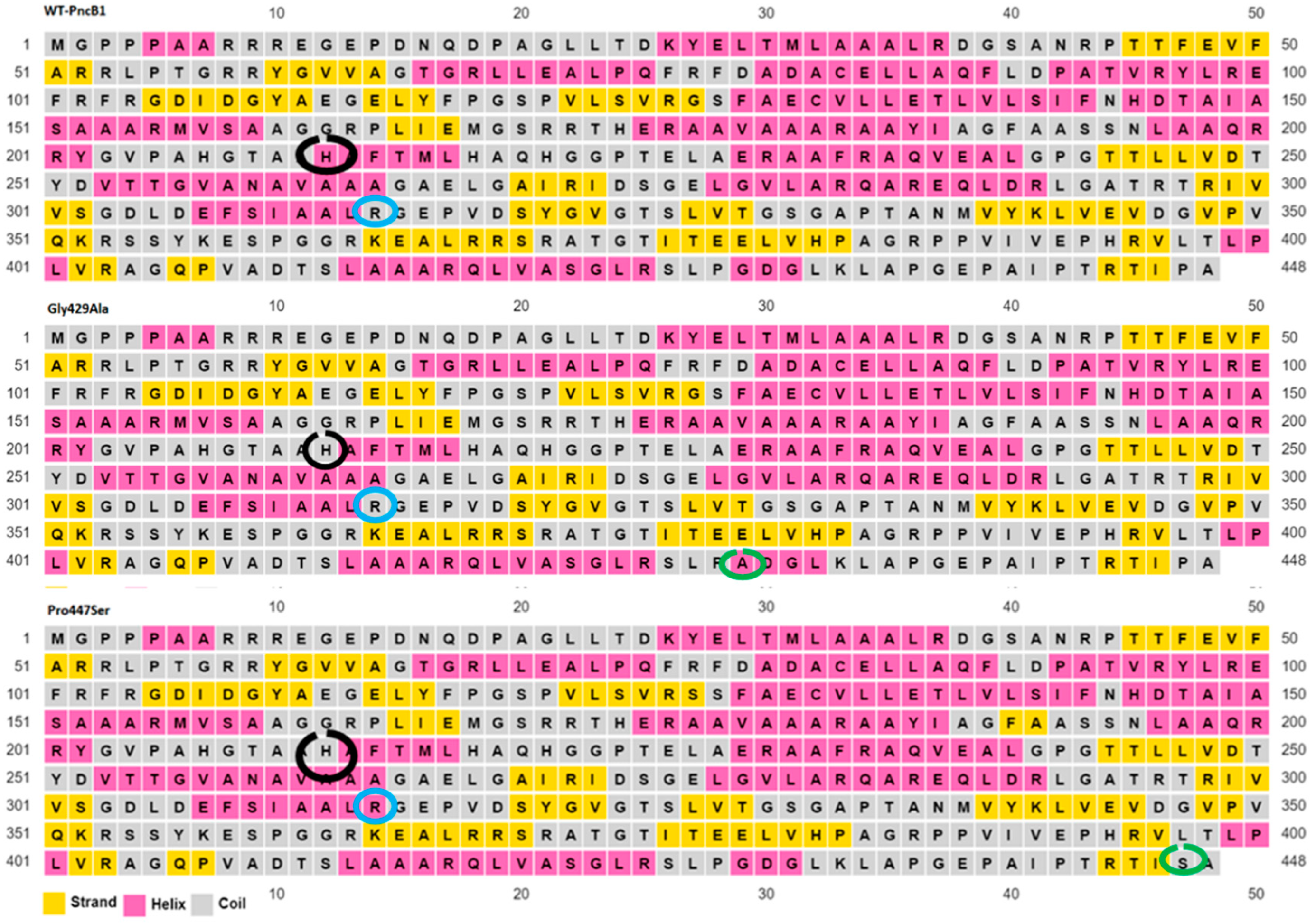 Polymers 14 01623 g004