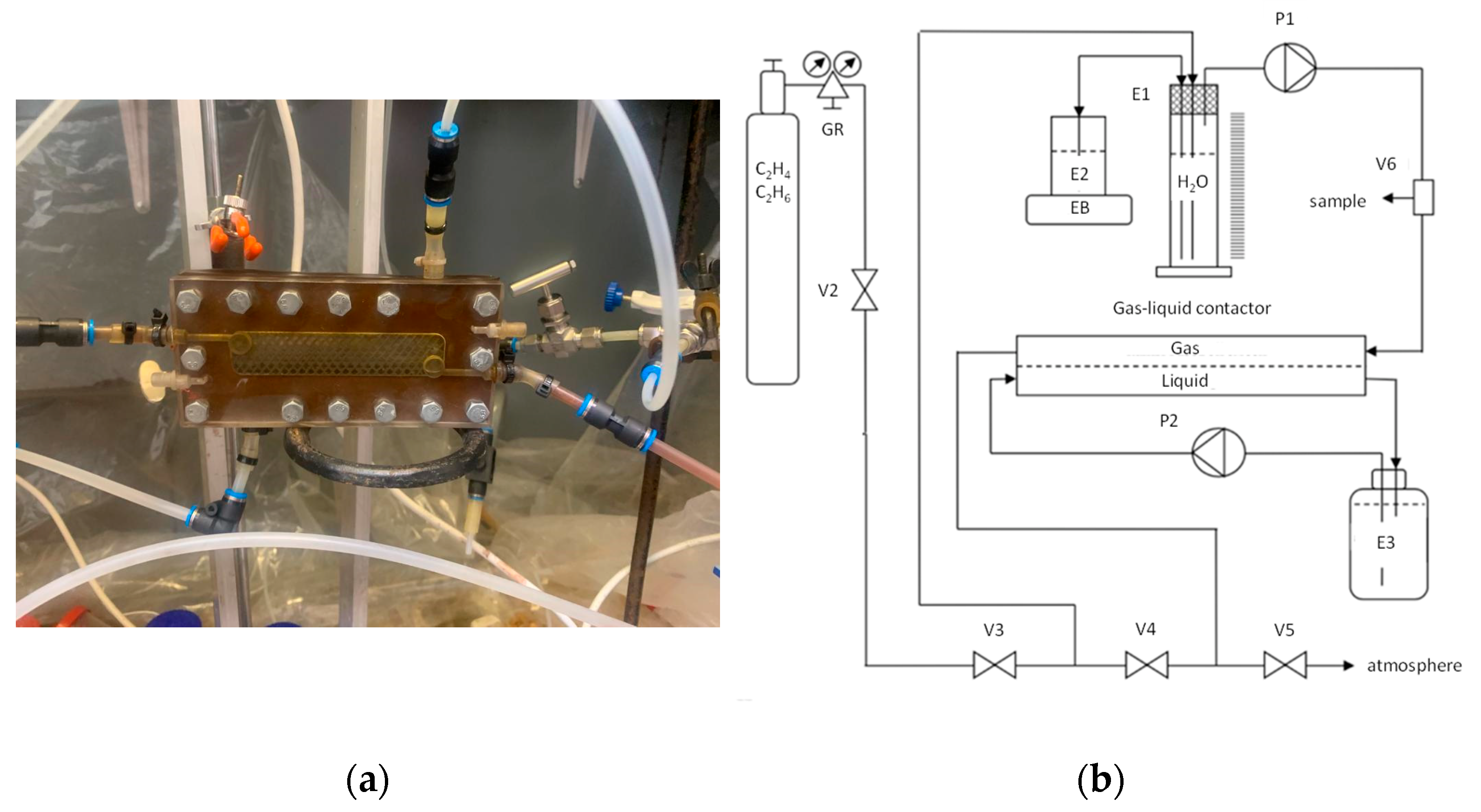 Polymers 14 01625 g002 550
