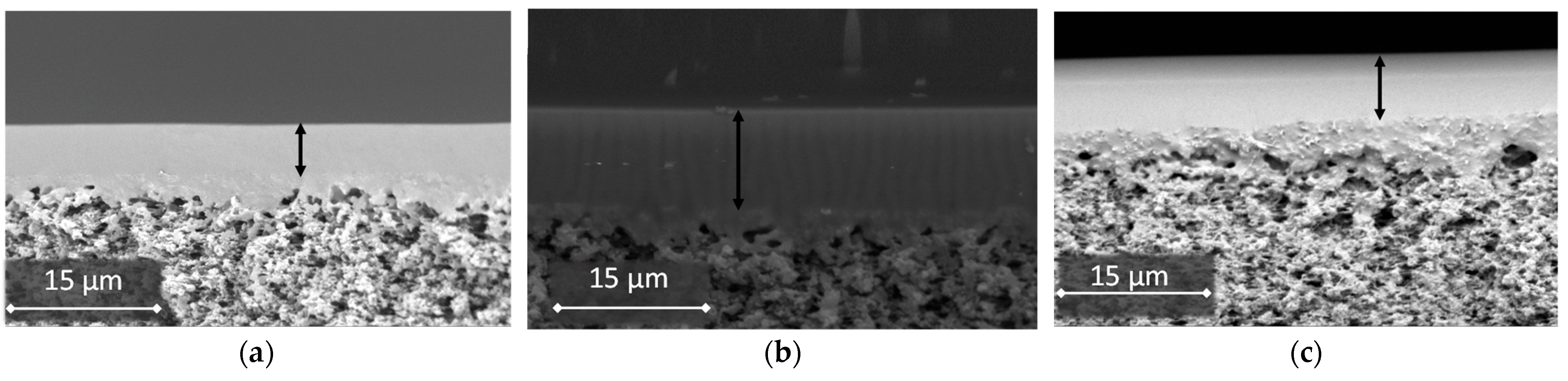 Polymers 14 01625 g009 550