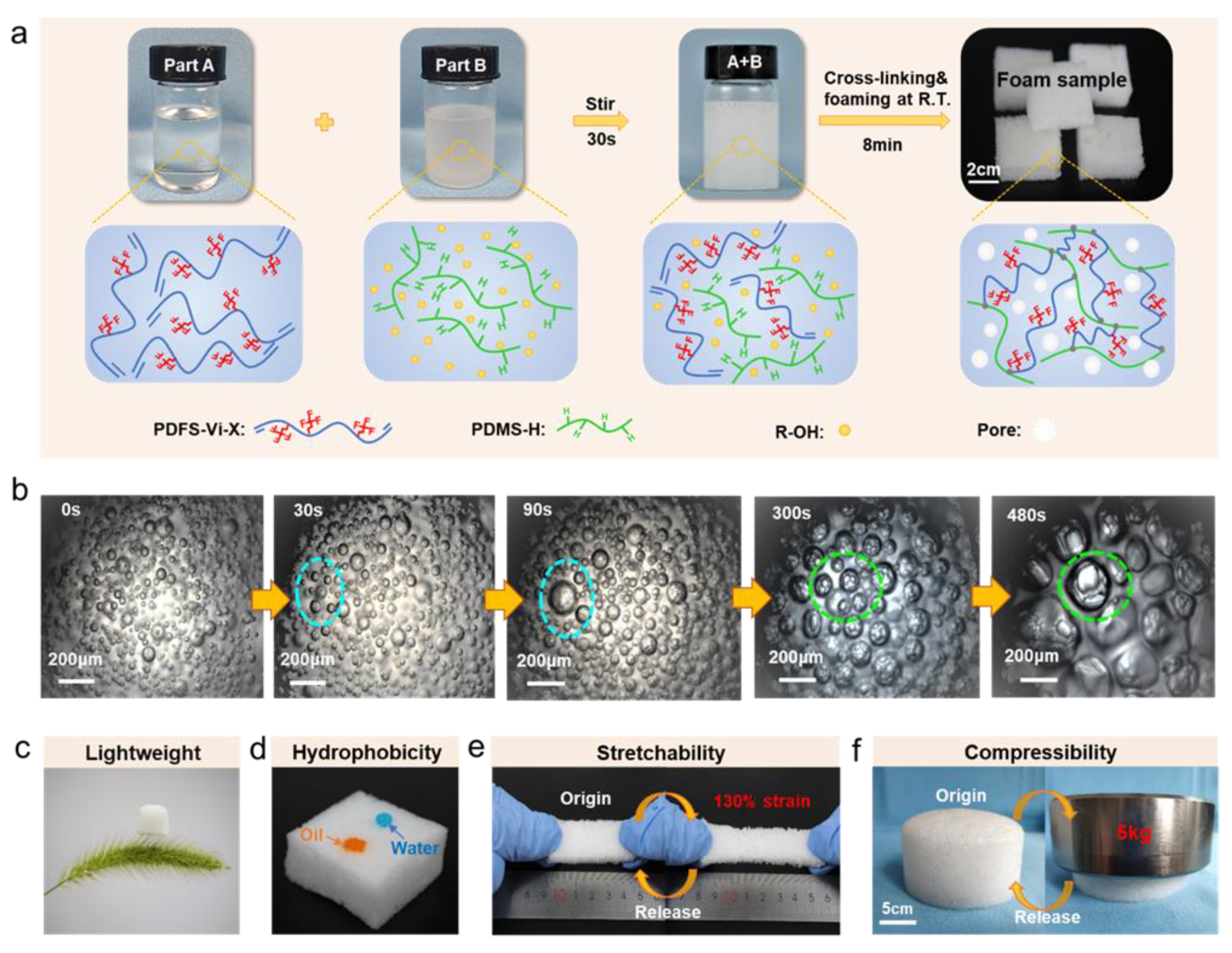 Polymers 14 01628 g001