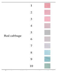 Polymers 14 01629 i007