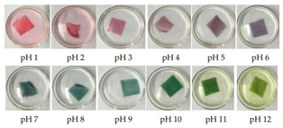 Polymers 14 01629 i015
