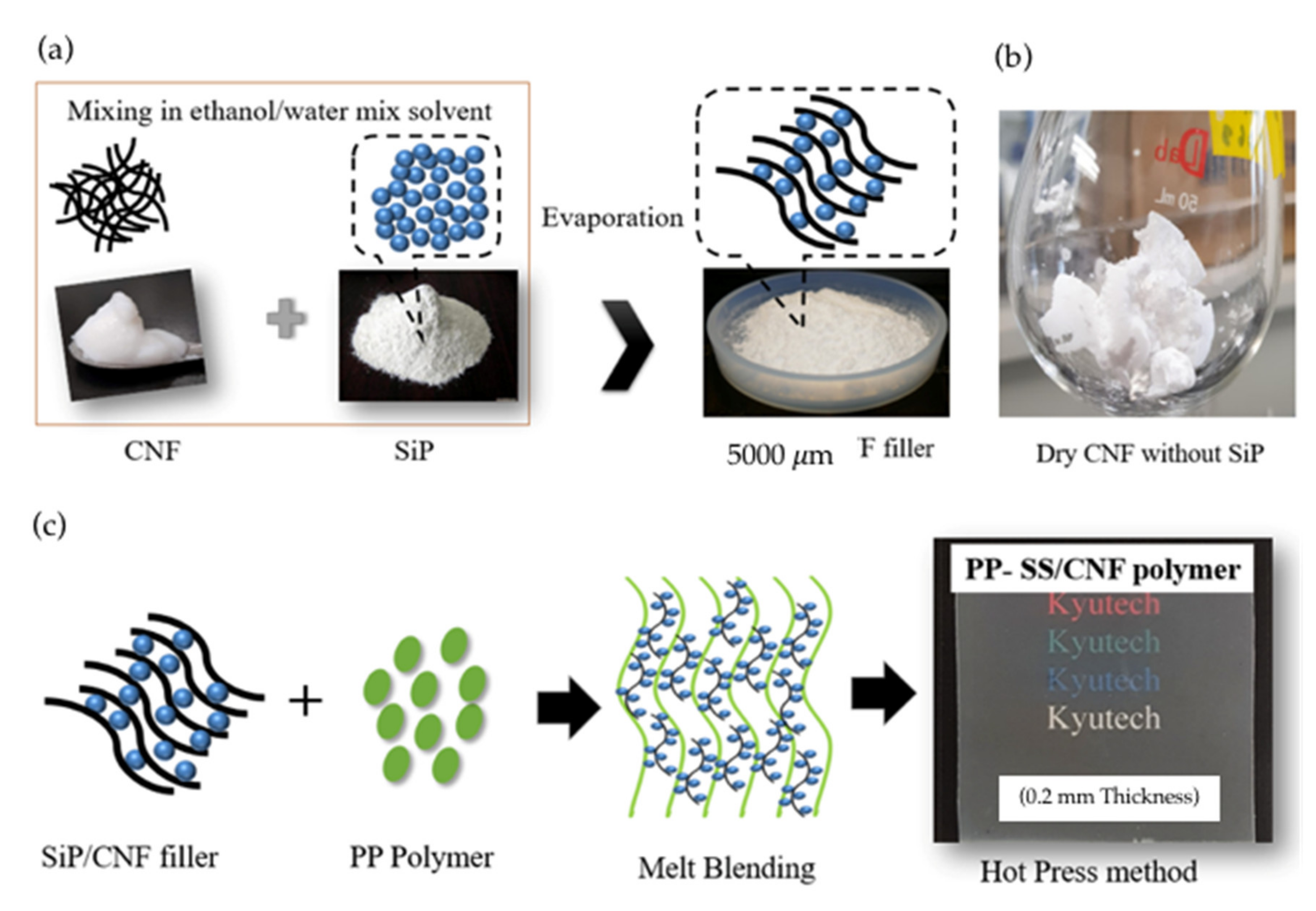 Polymers 14 01630 g002