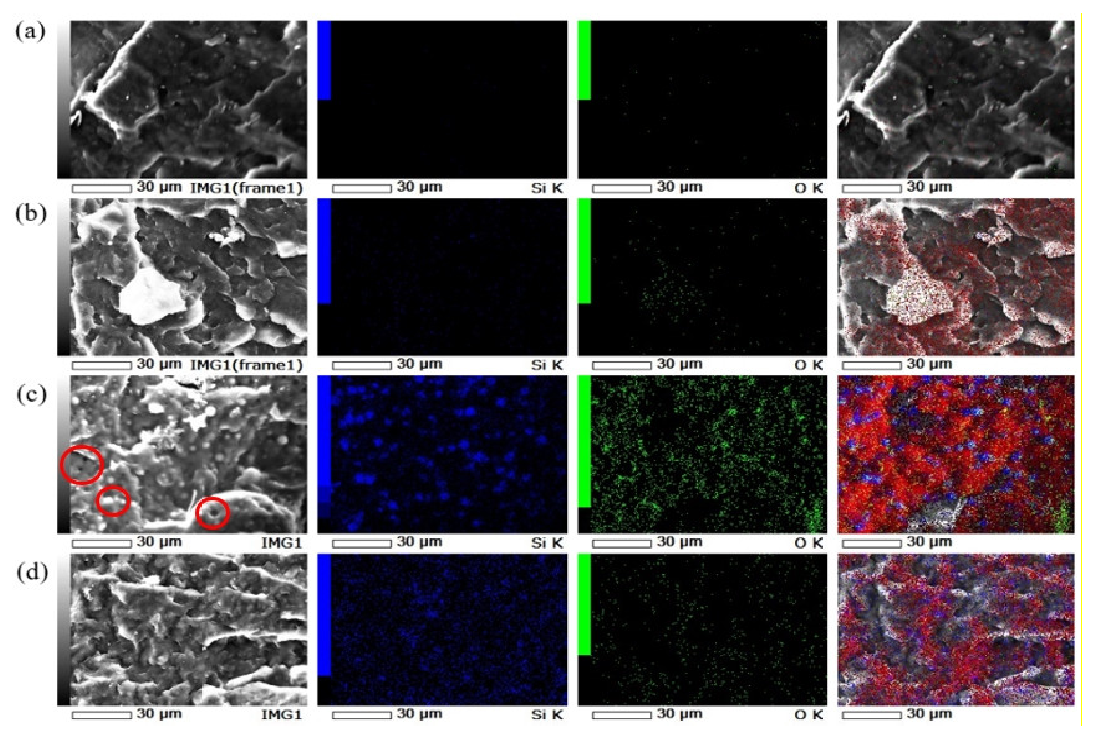 Polymers 14 01630 g009