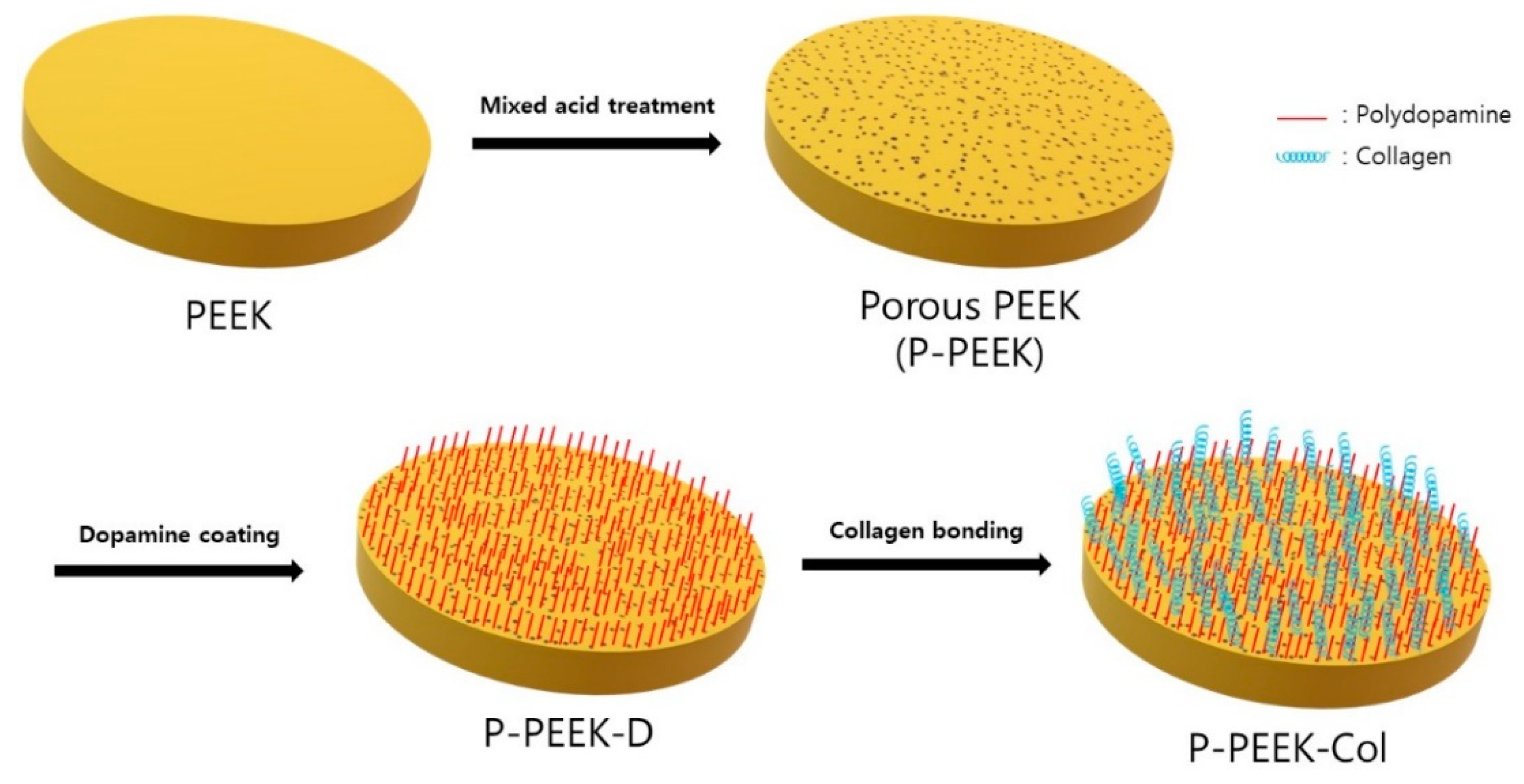 Polymers 14 01633 g001 550