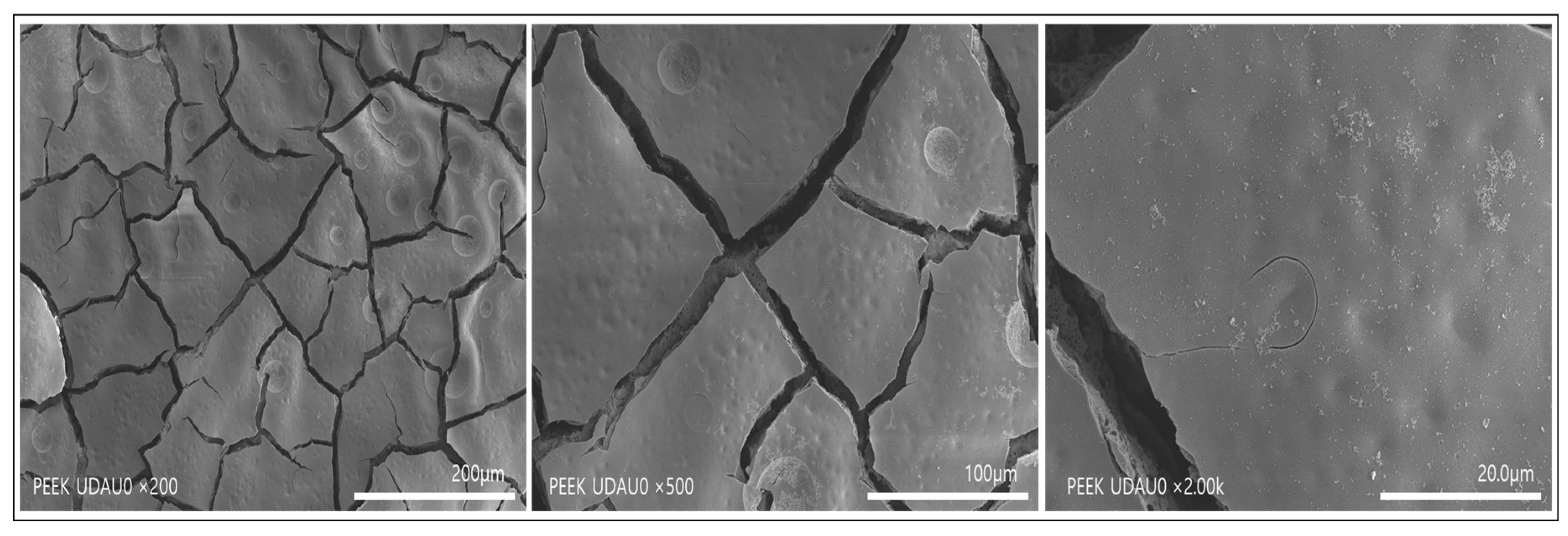 Polymers 14 01633 g002 550