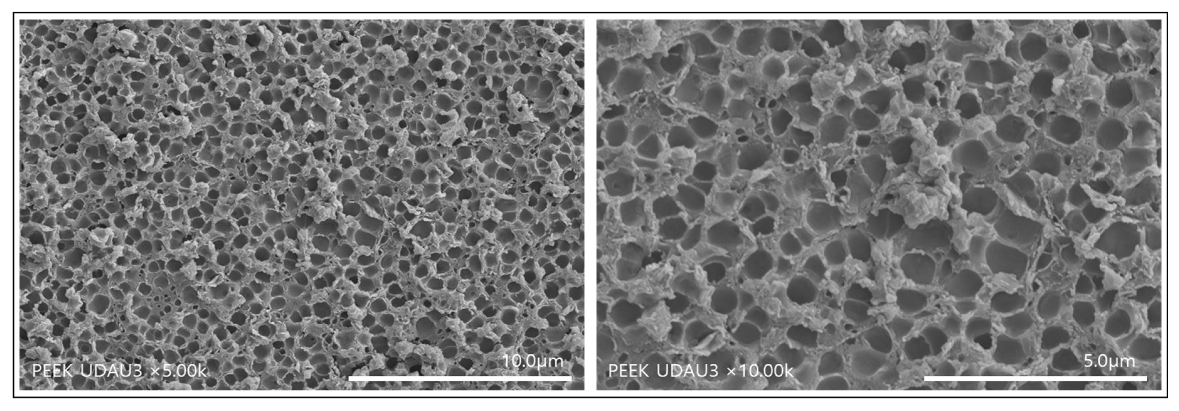 Polymers 14 01633 g003 550