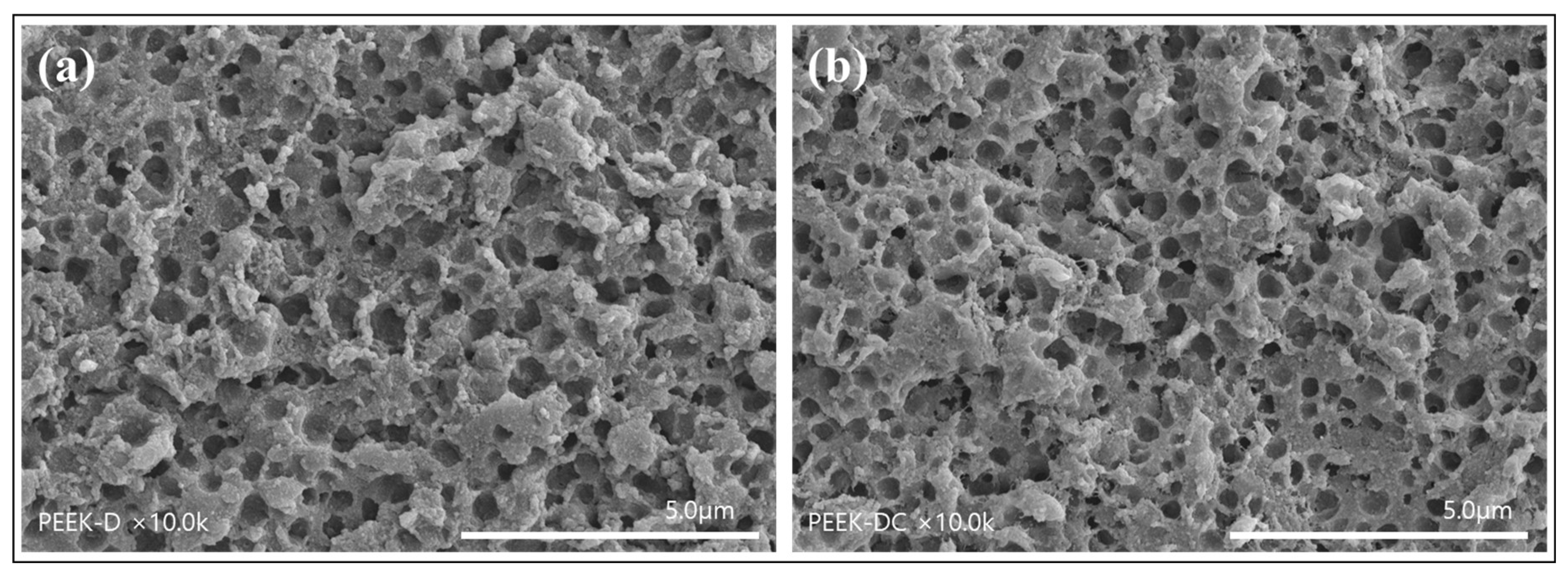 Polymers 14 01633 g005 550