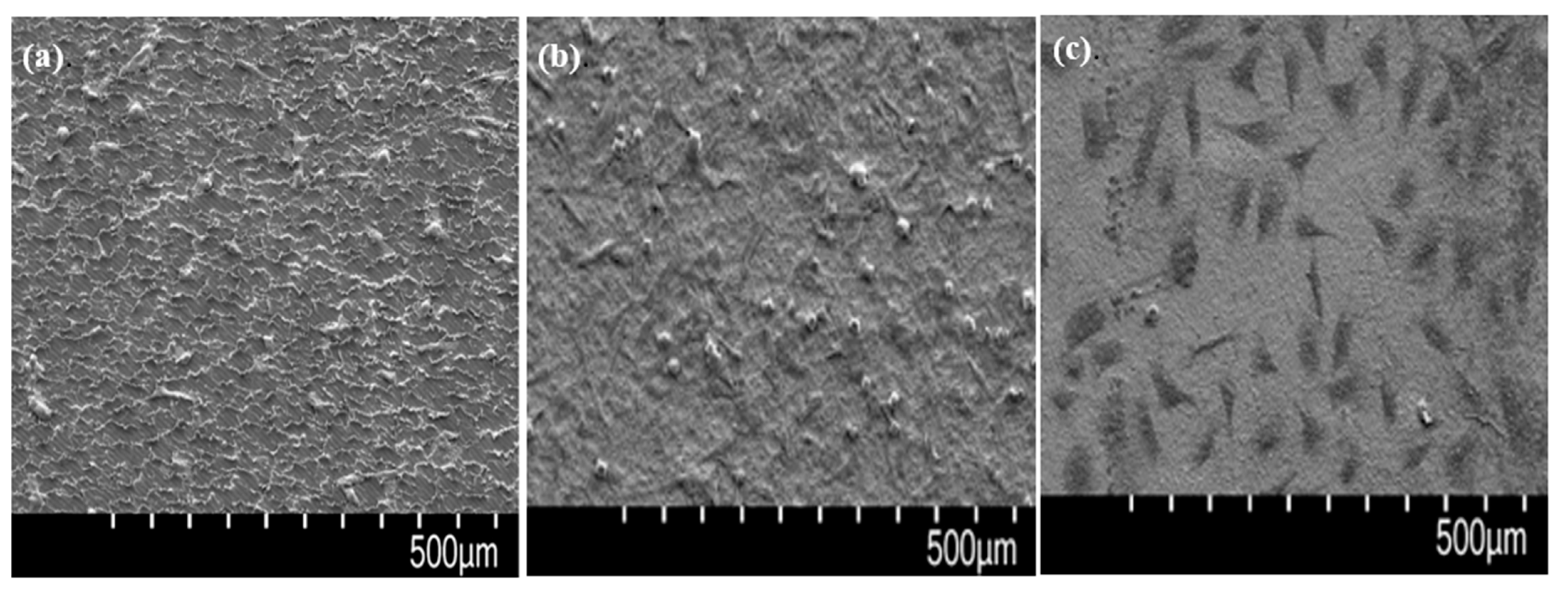 Polymers 14 01633 g007 550