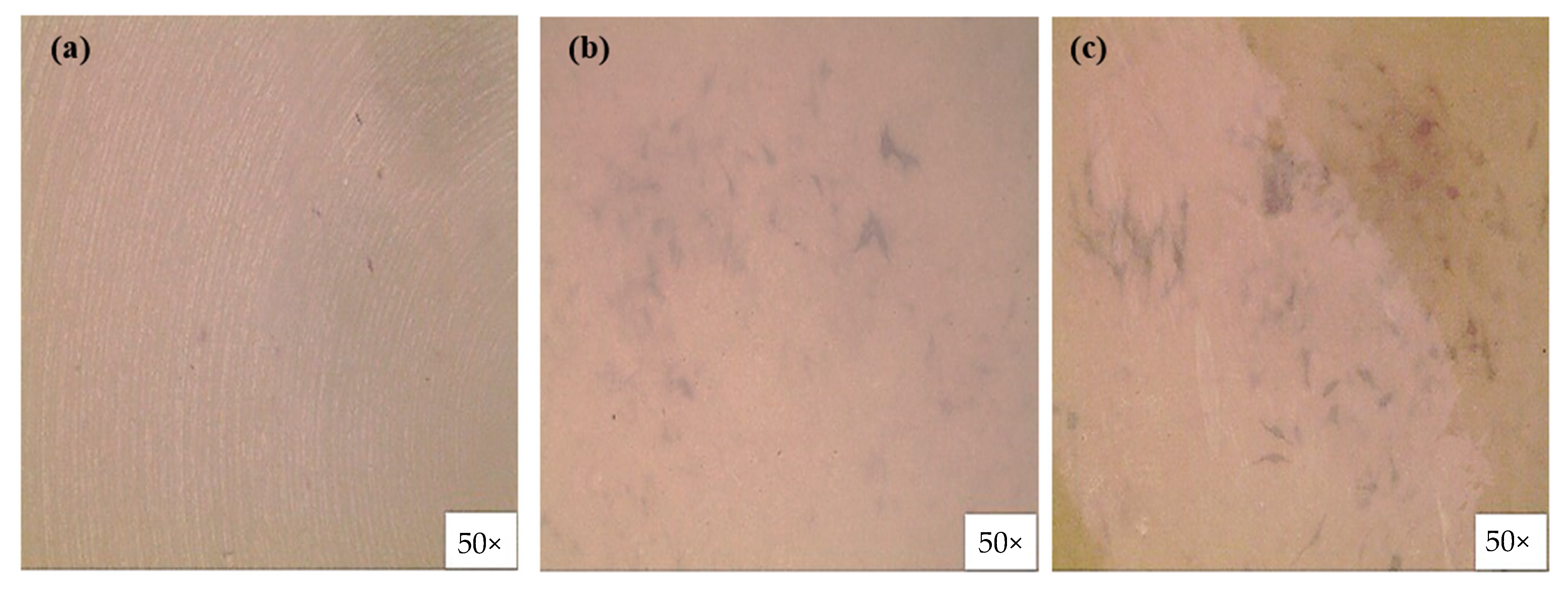 Polymers 14 01633 g009 550